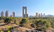 Apartamentos - Reventa - Benidorm
- SH-004