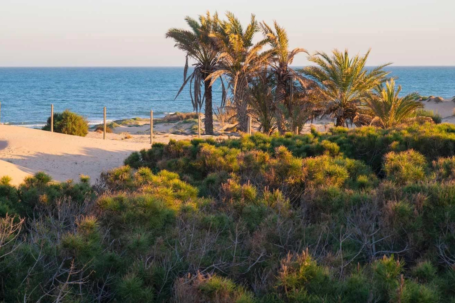 New Build - apartment -
Guardamar del Segura - Avda del Puerto