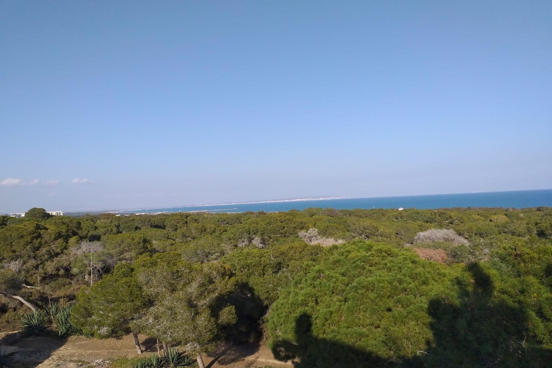 New Build - apartment -
