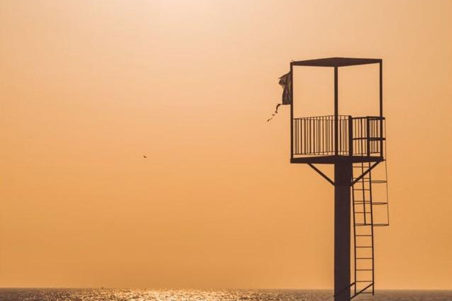 New Build - apartment -
