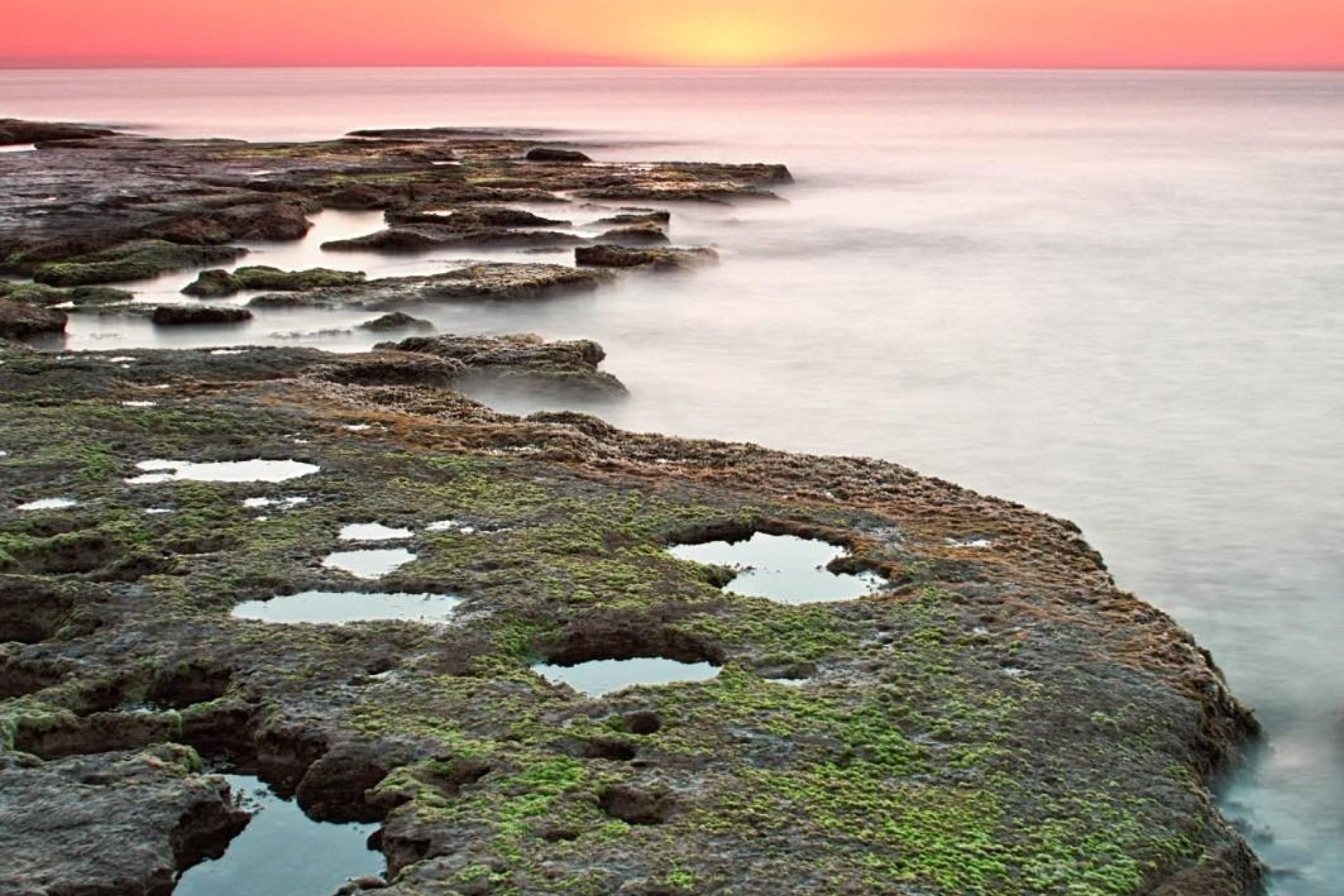 New Build - Bungalow -
Torrevieja - Altos del Sol