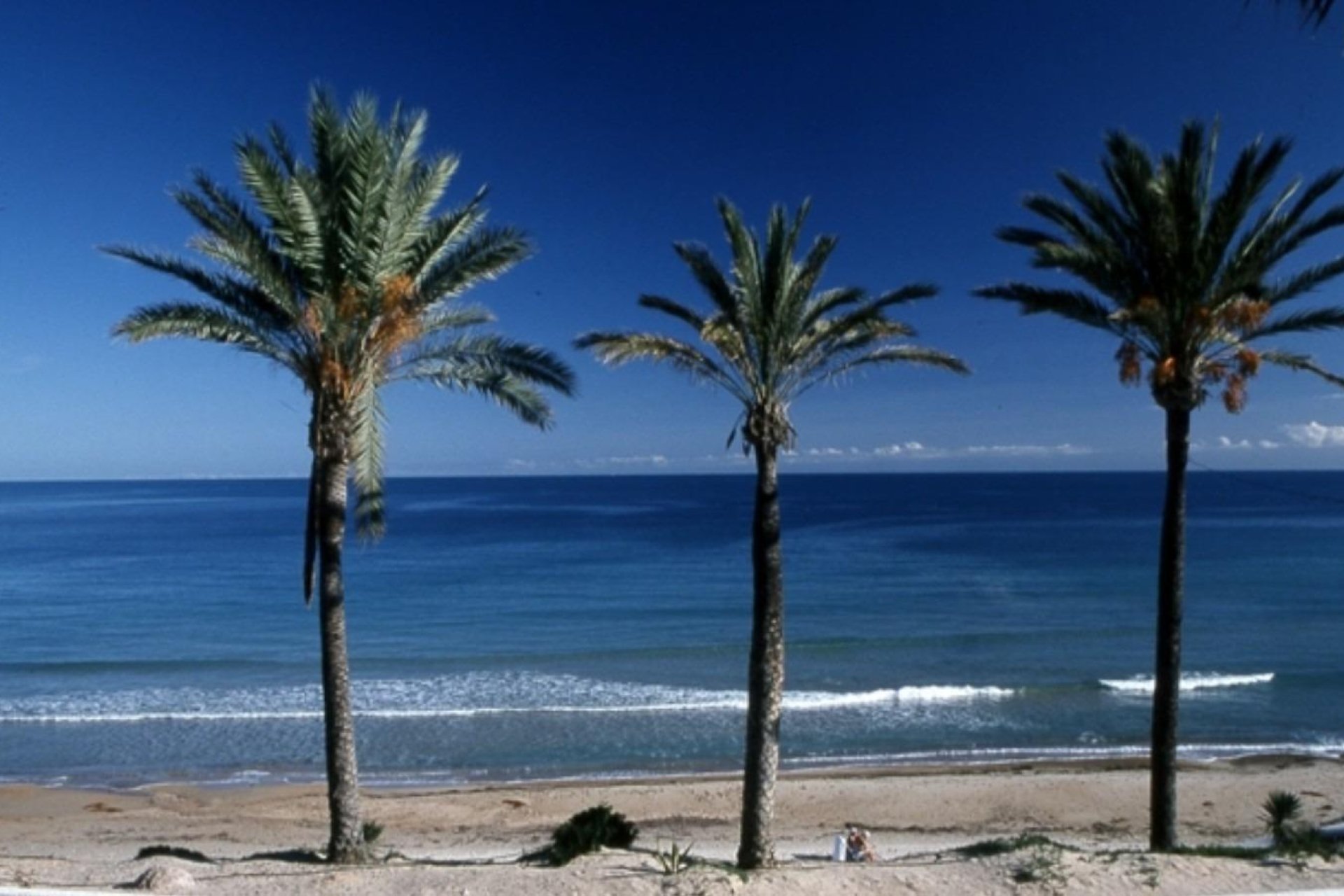 New Build - Bungalow -
