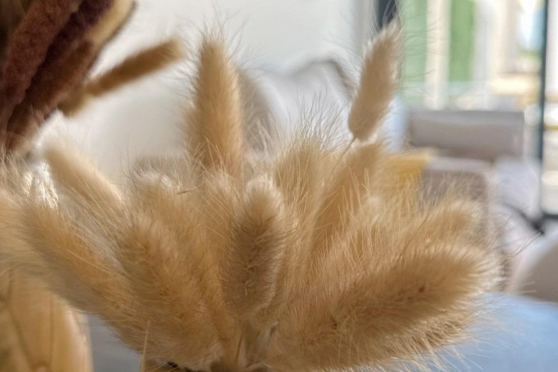 New Build - Bungalow -
