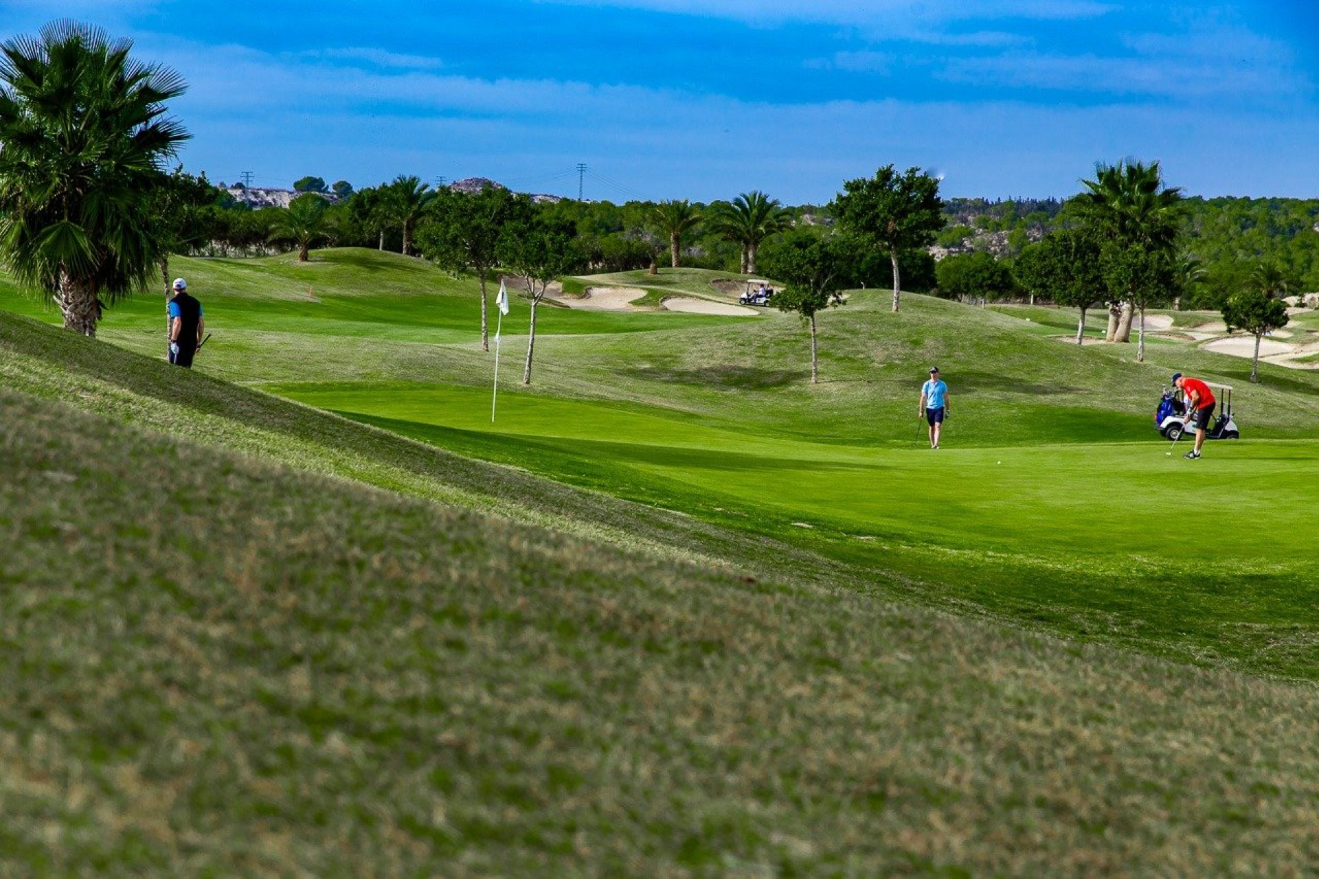 New Build - Bungalow -
