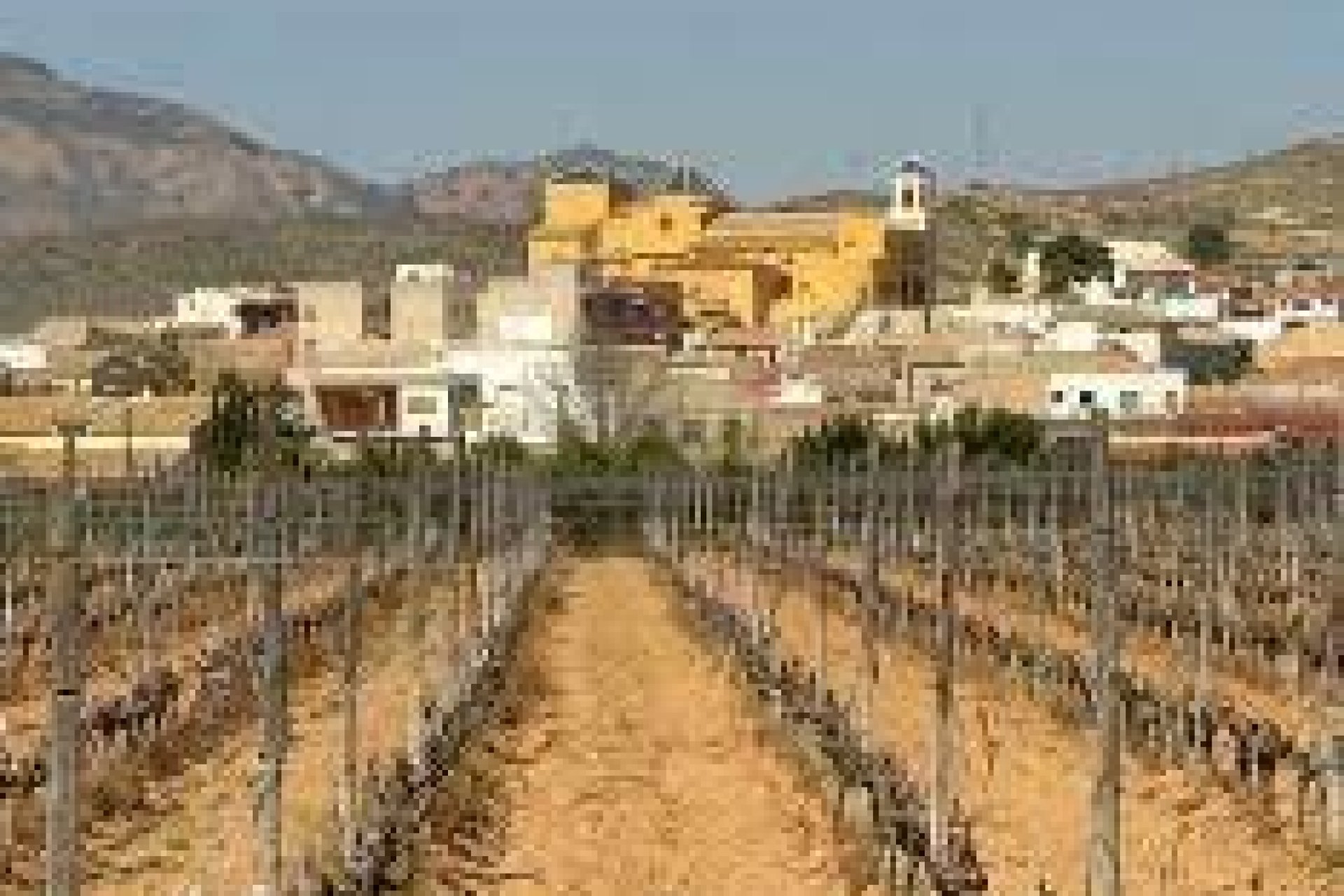 New Build - Bungalow -
