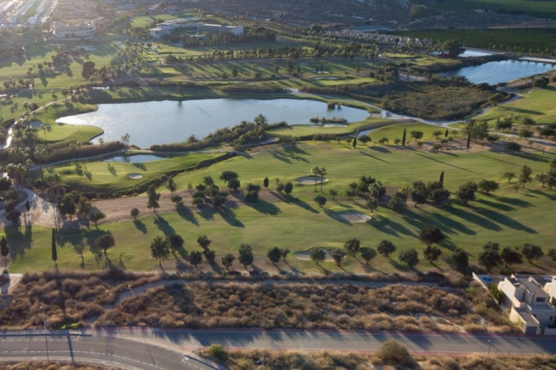 New Build - villa -
Algorfa - La Finca Golf