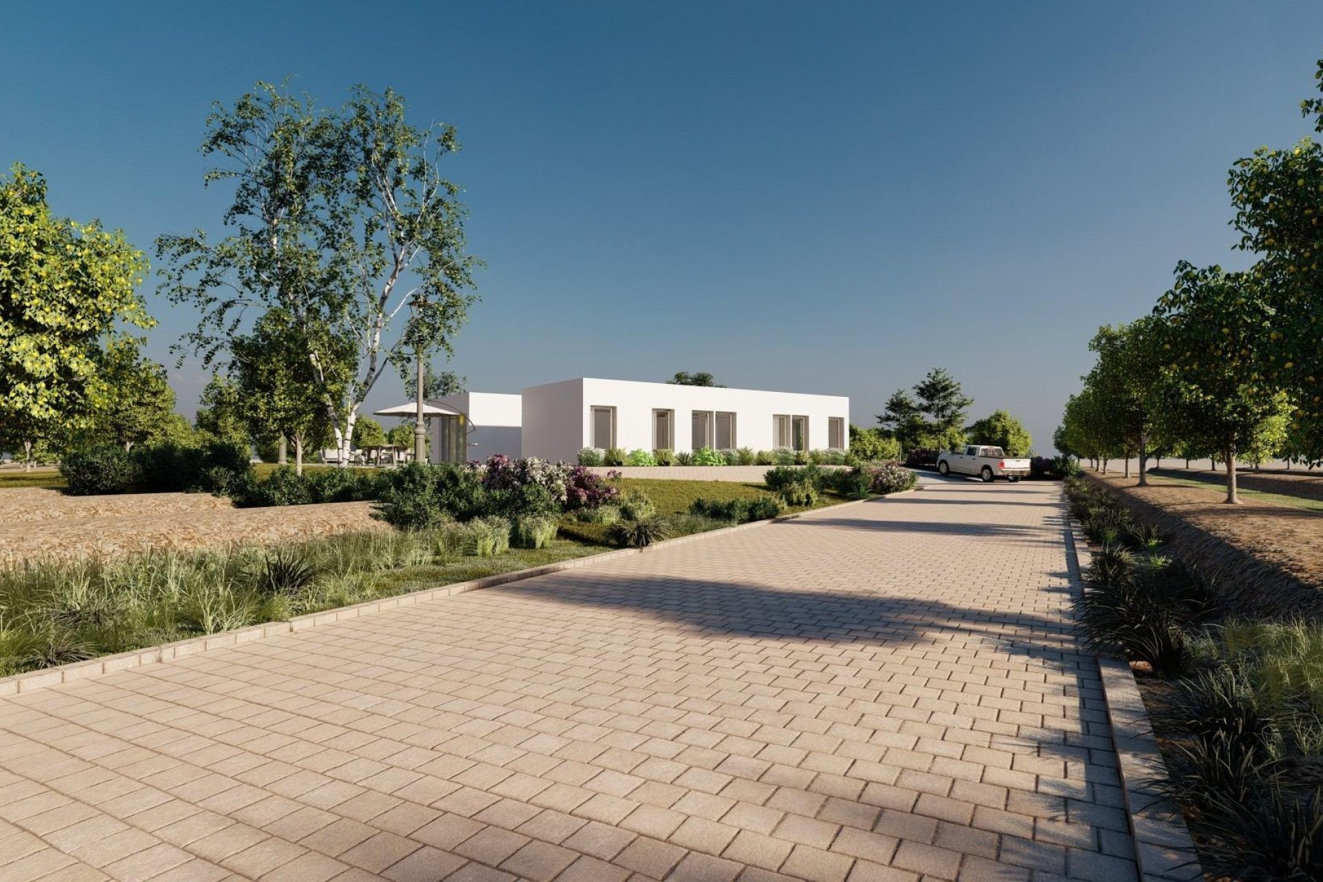 New Build - villa -
Benejúzar - alta