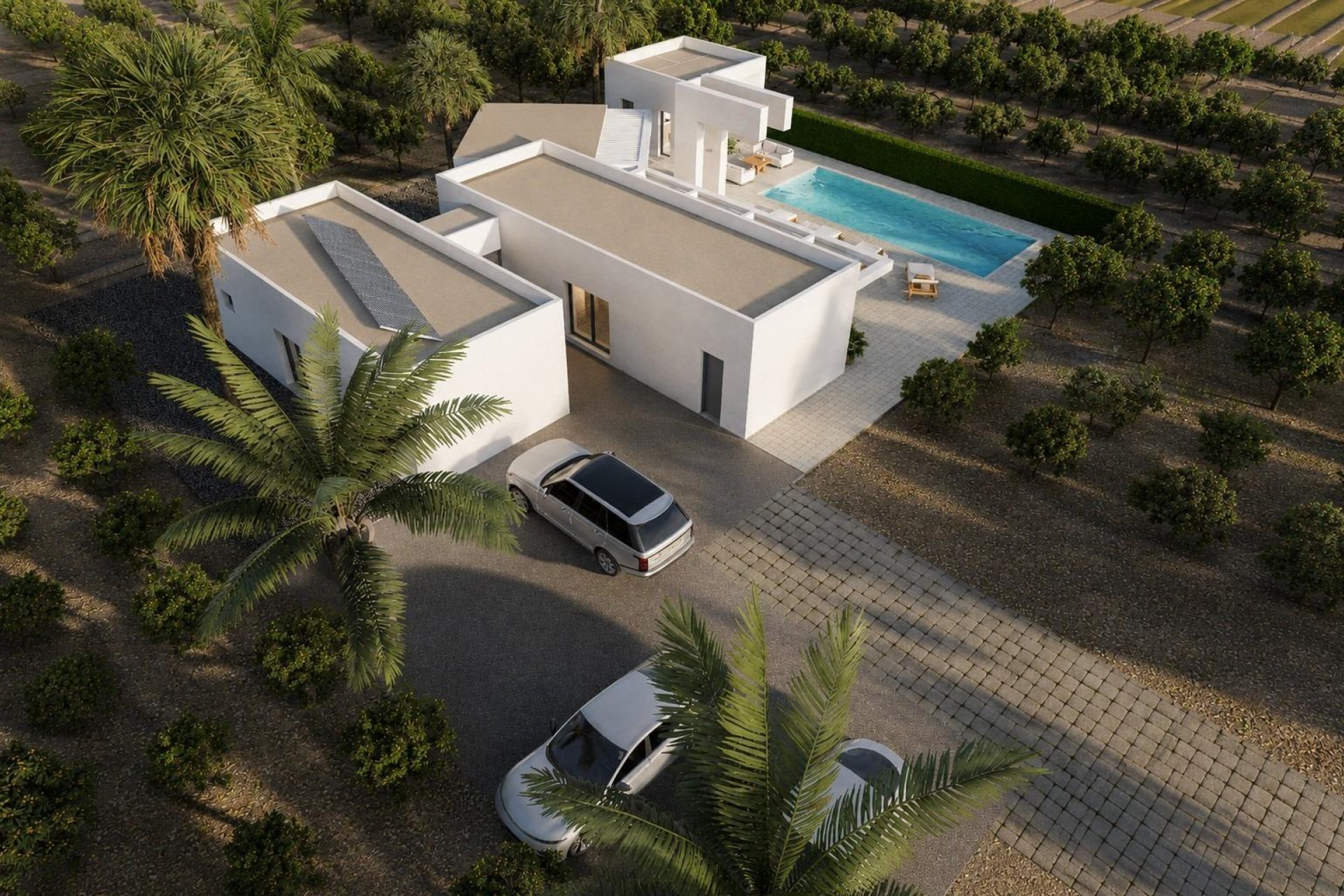 New Build - villa -
Benejúzar - alta