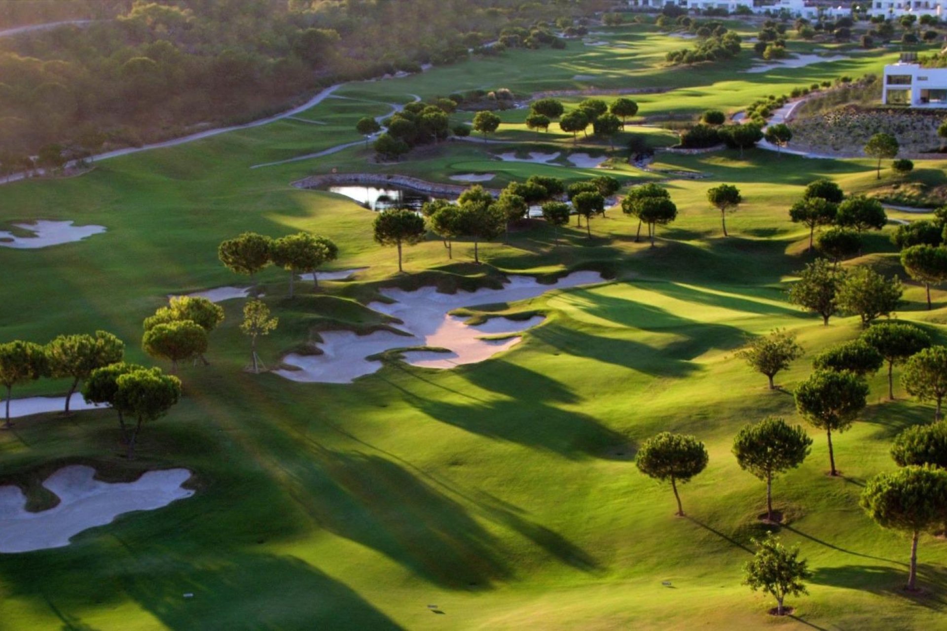 New Build - villa -
Orihuela - Las Colinas Golf