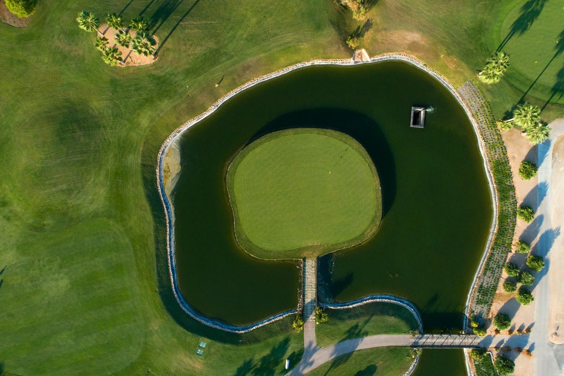 New Build - villa -
Pilar de la Horadada - Lo Romero Golf