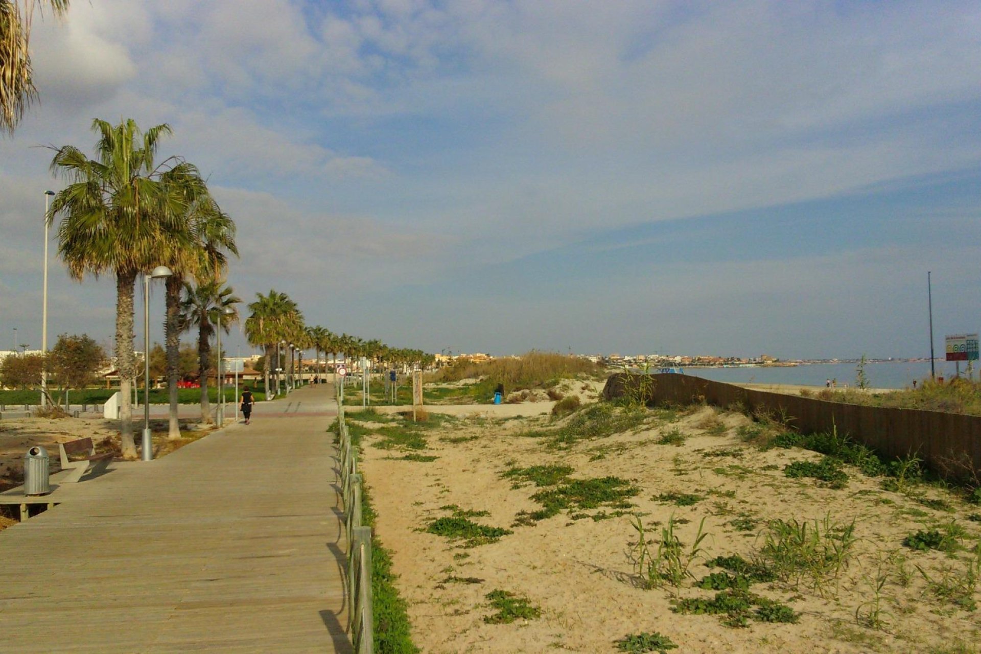 New Build - villa -
Pilar de la Horadada