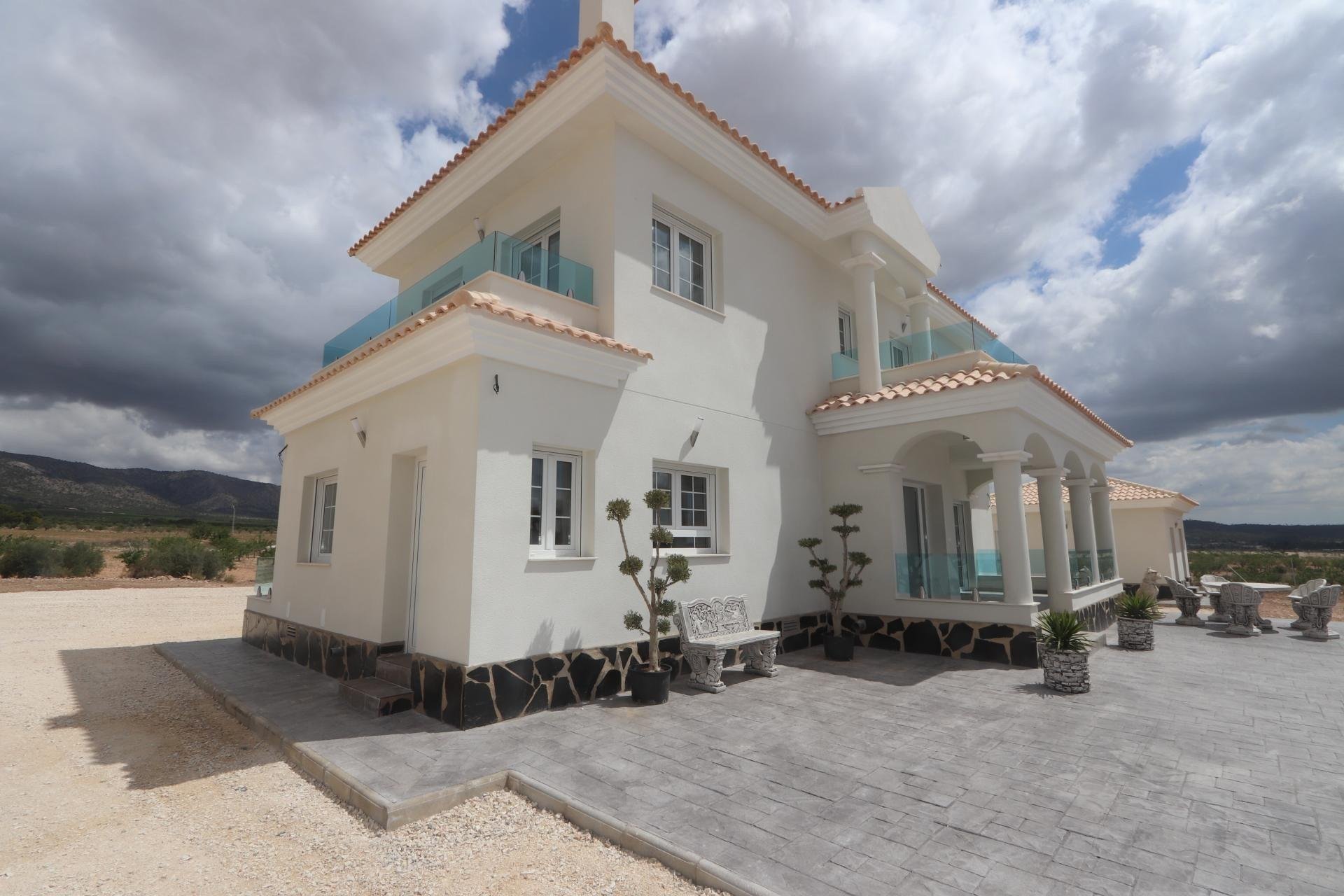 New Build - villa -
Pinoso - Camino Del Prado