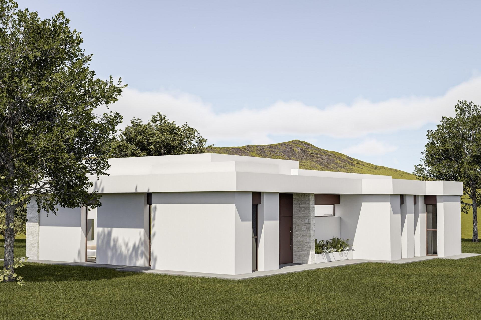 New Build - villa -
Pinoso - Lel