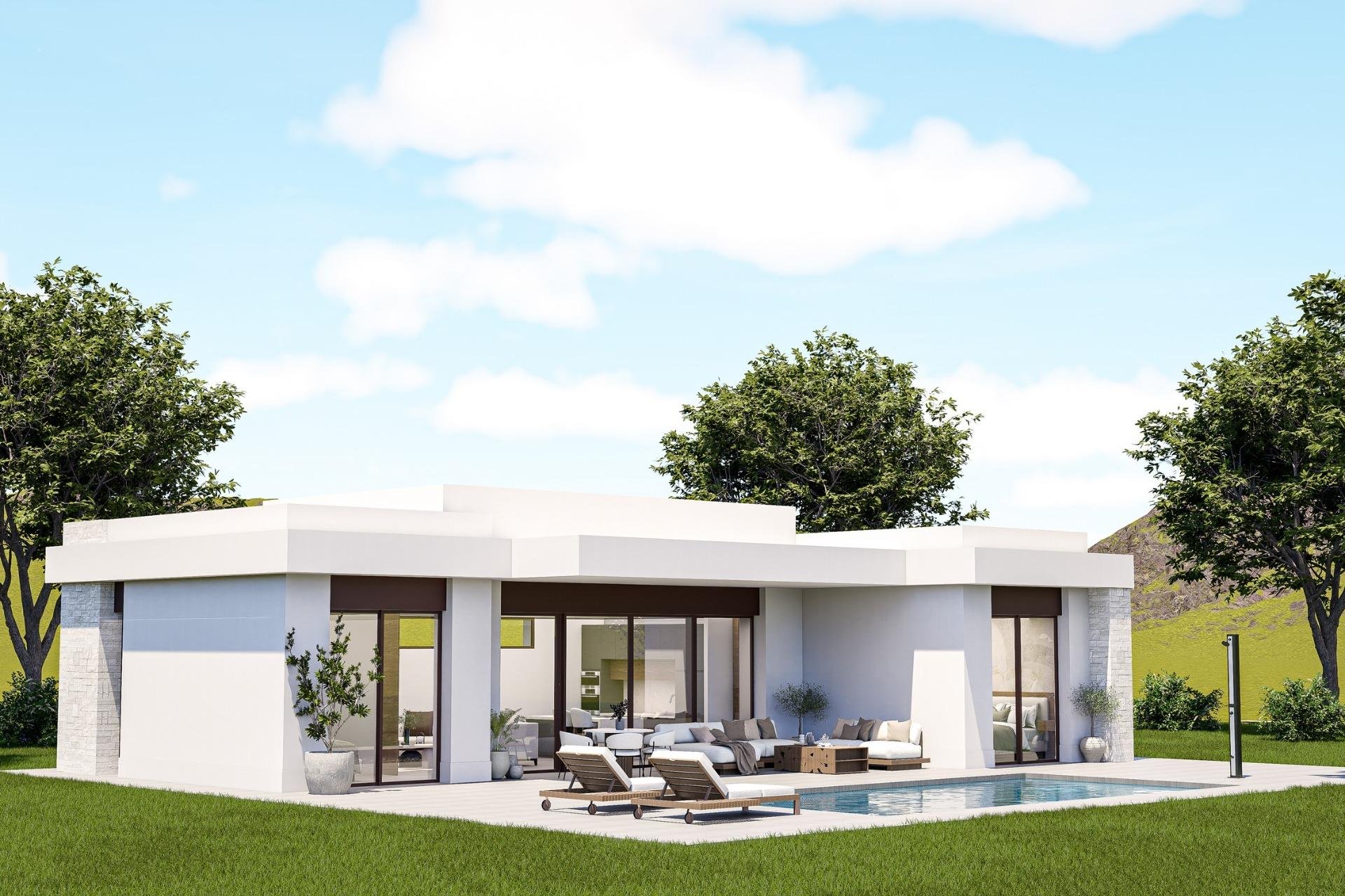 New Build - villa -
Pinoso - Lel