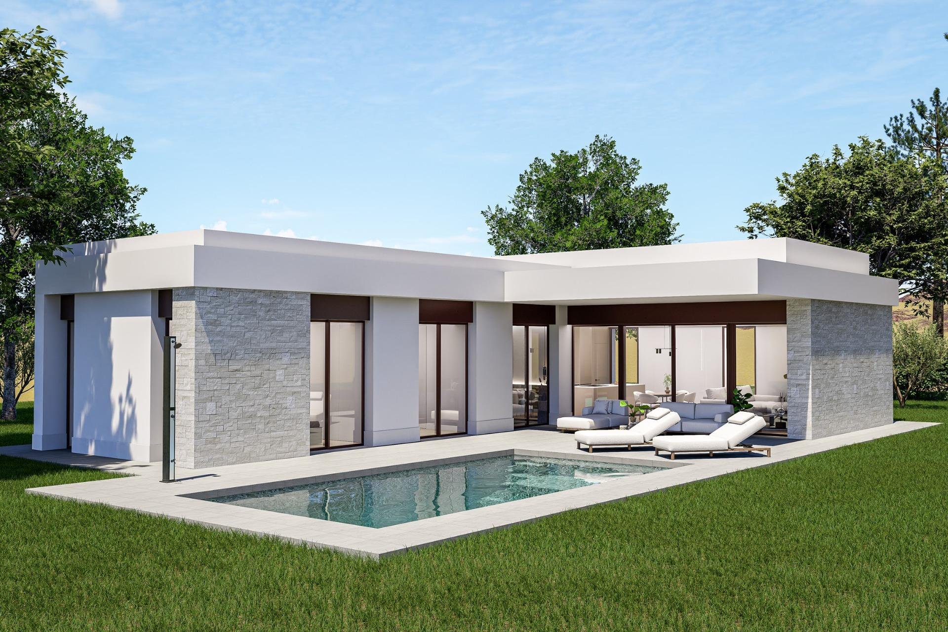 New Build - villa -
Pinoso - Lel