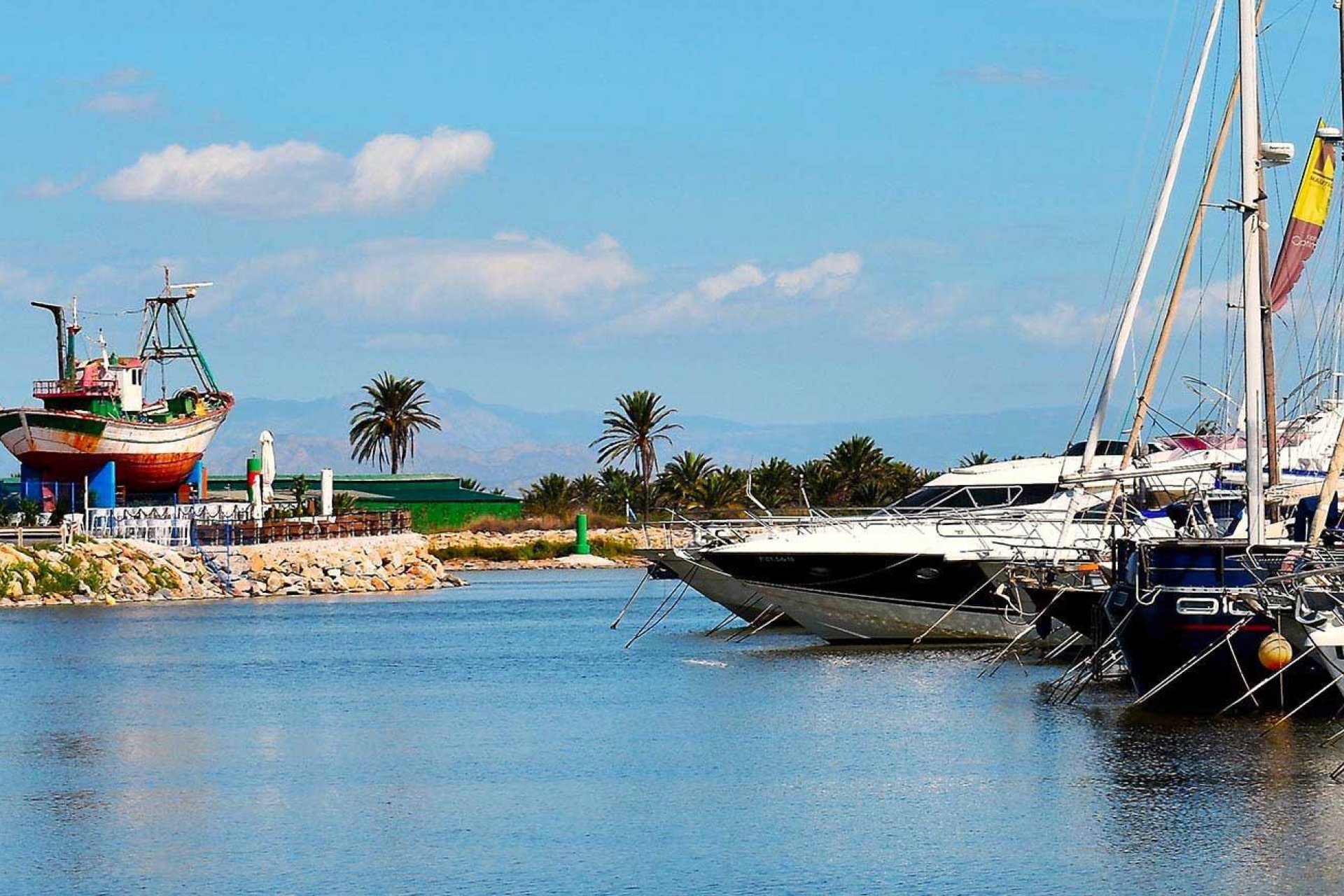 Nowy budynek - apartment -
Guardamar del Segura - Avda del Puerto