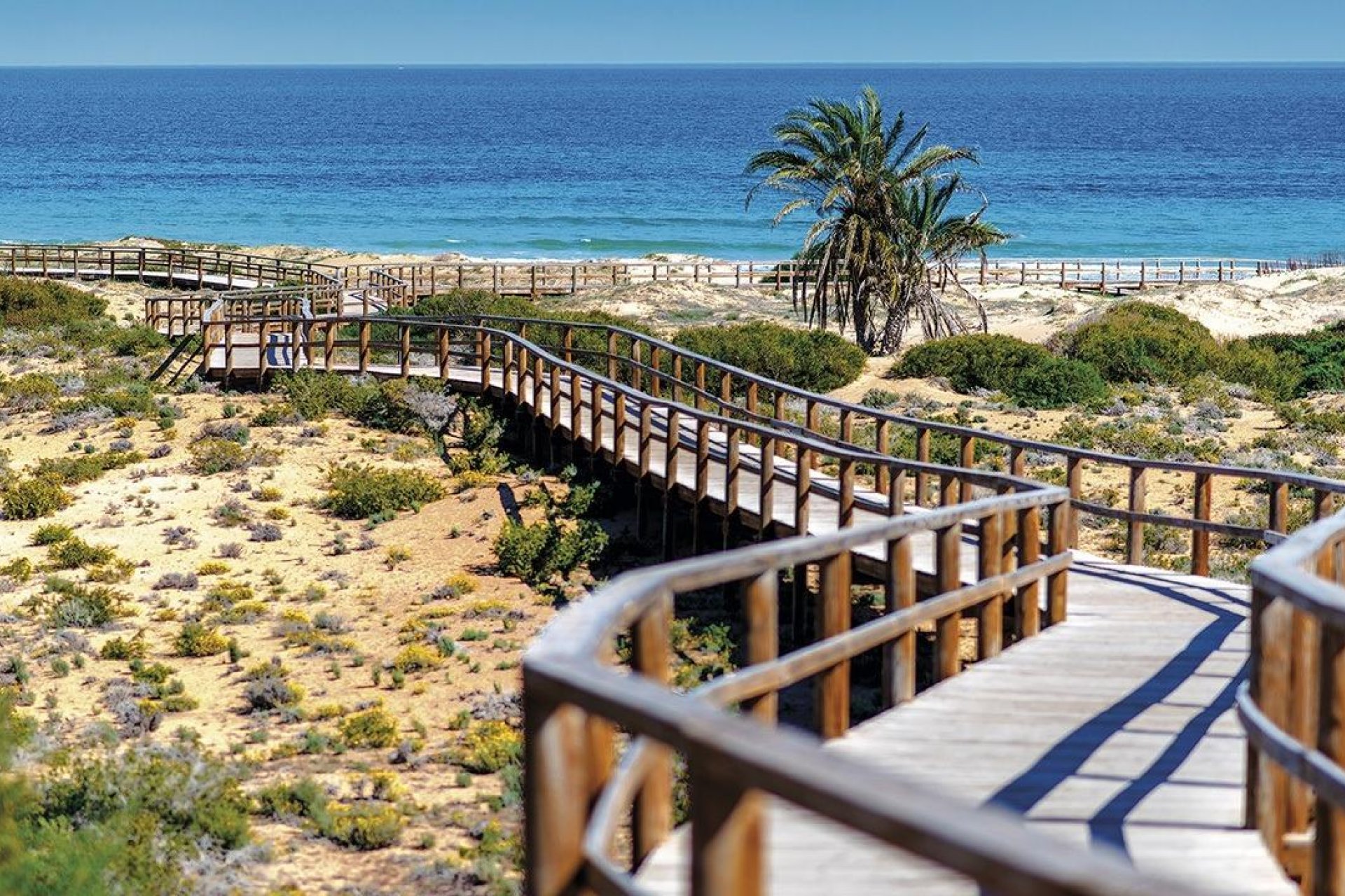 Nowy budynek - apartment -
Monforte del Cid - Alenda Golf