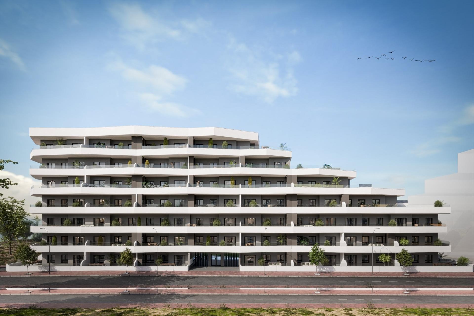 Nowy budynek - apartment -
San Miguel de Salinas - Pueblo