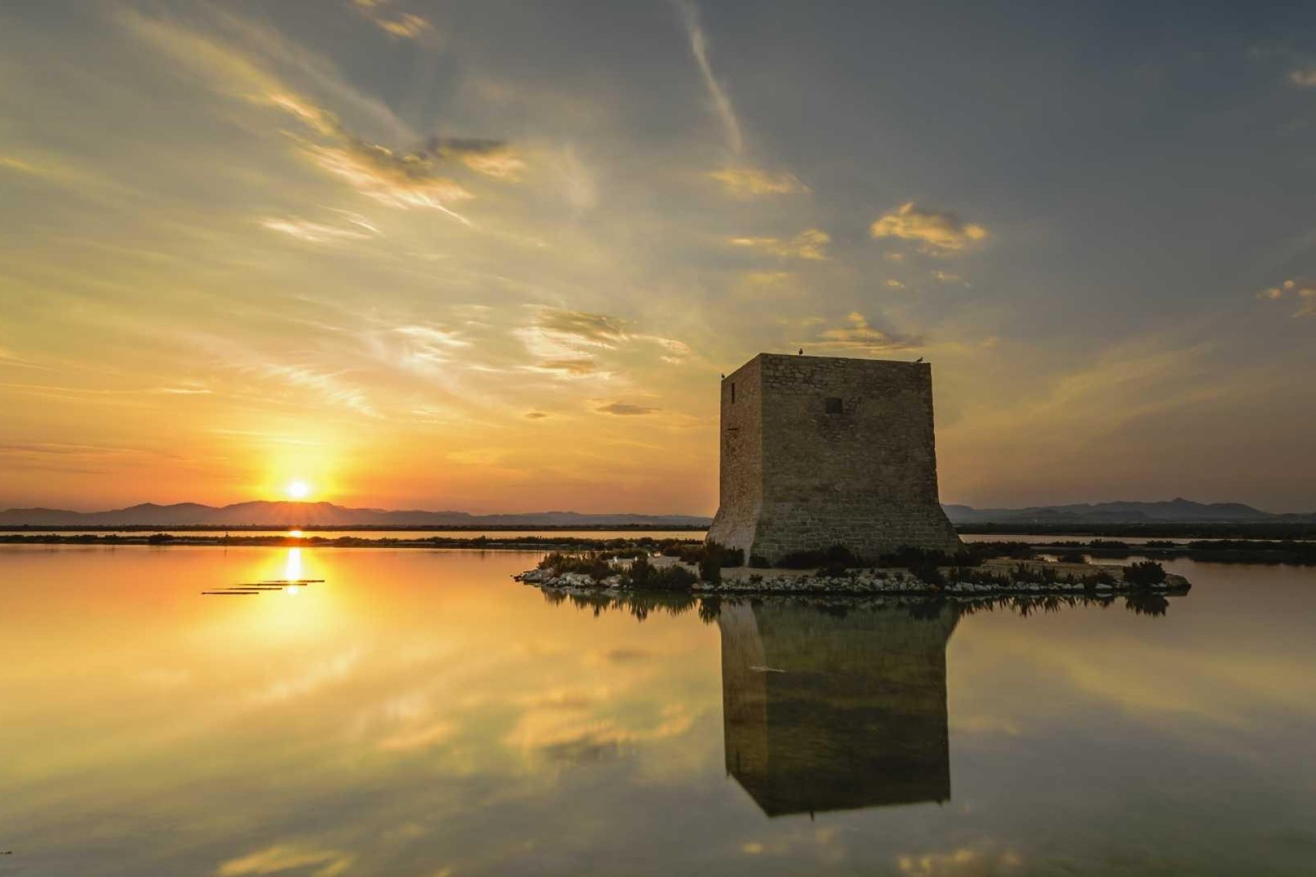 Nowy budynek - apartment -
Santa Pola - Estacion de autobuses