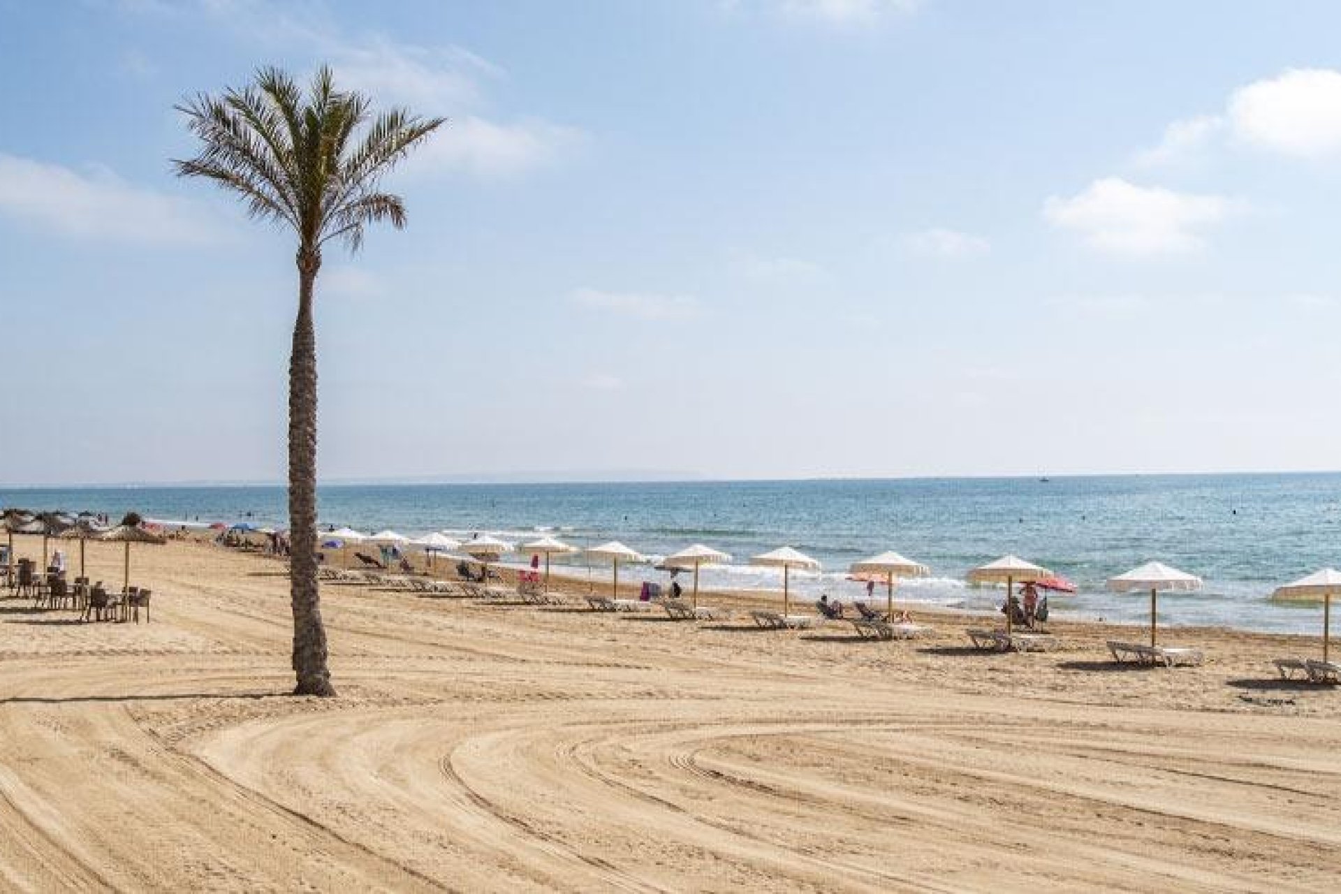 Nowy budynek - apartment -
