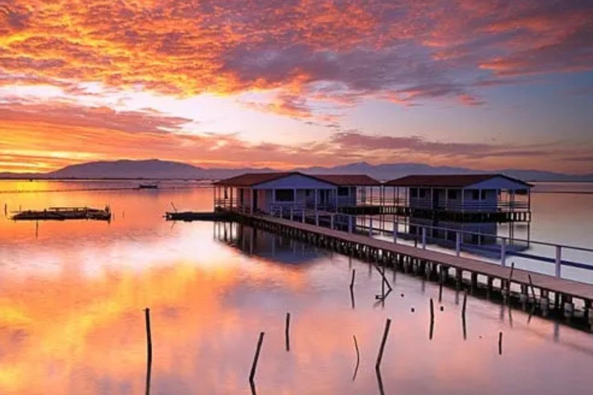 Nowy budynek - Bungalow -
San Pedro del Pinatar - Los Pinos