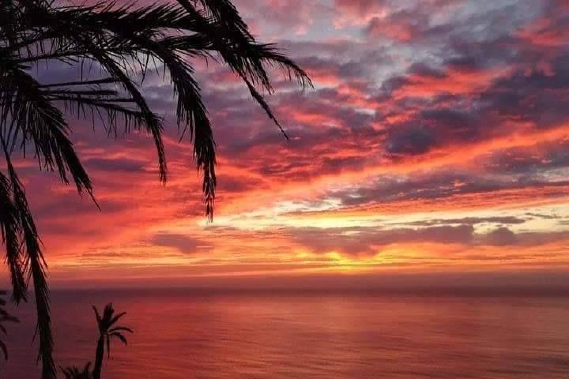 Nowy budynek - Bungalow -
Torrevieja - Altos del Sol