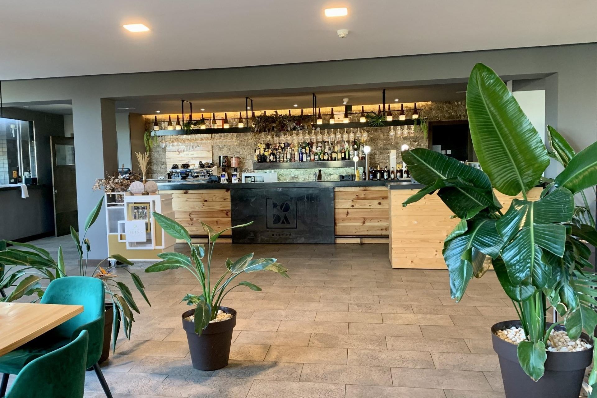 Nowy budynek - Bungalow -
