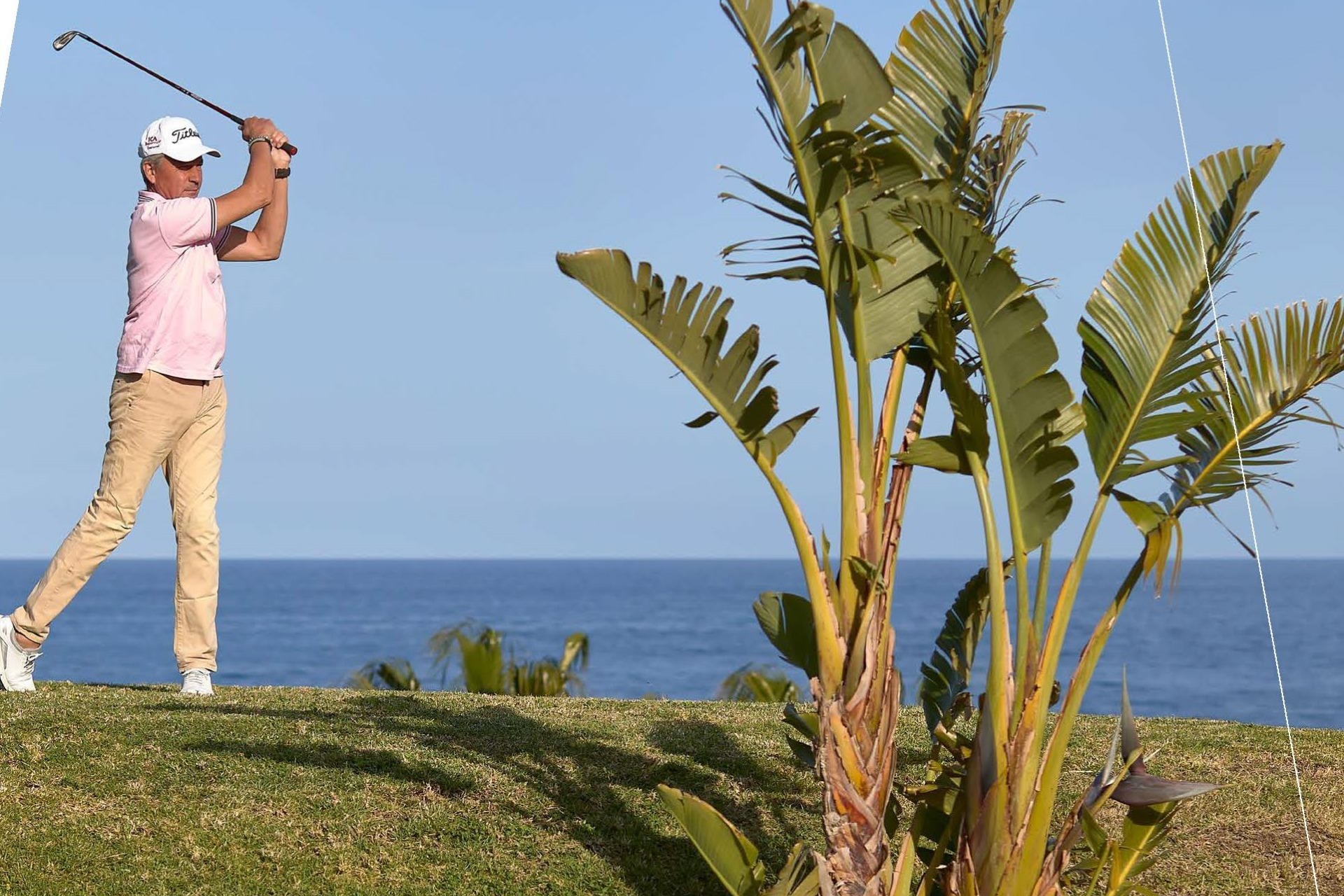 Nowy budynek - Daszek -
