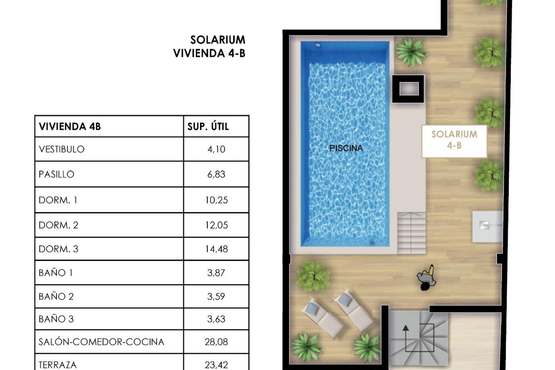 Nowy budynek - Daszek -
