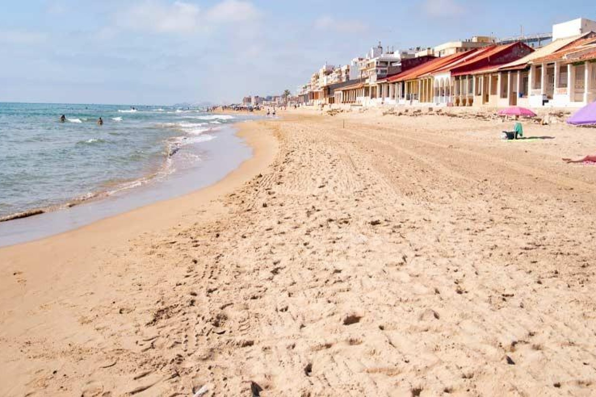 Nowy budynek - Daszek -
