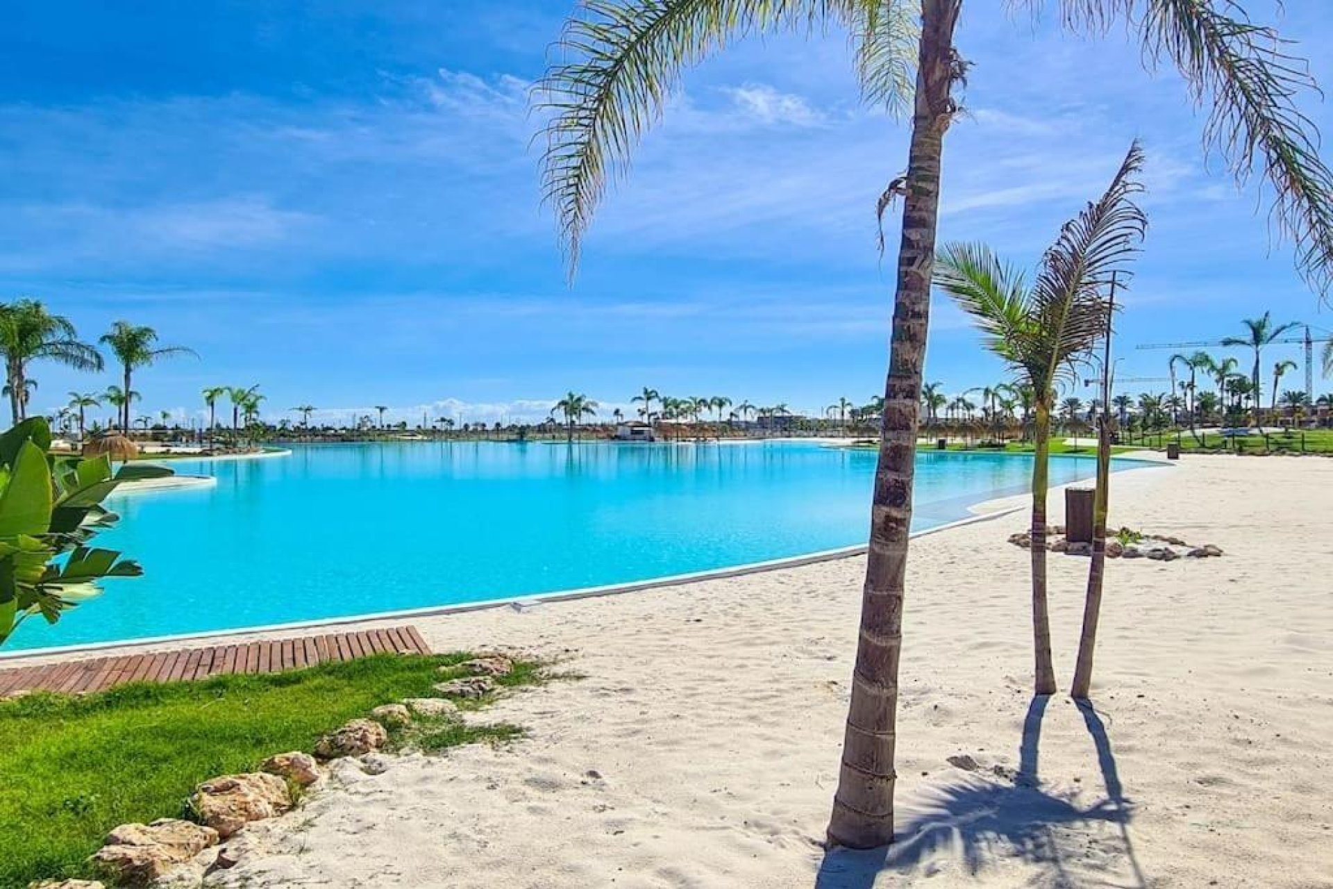 Nowy budynek - Daszek -
