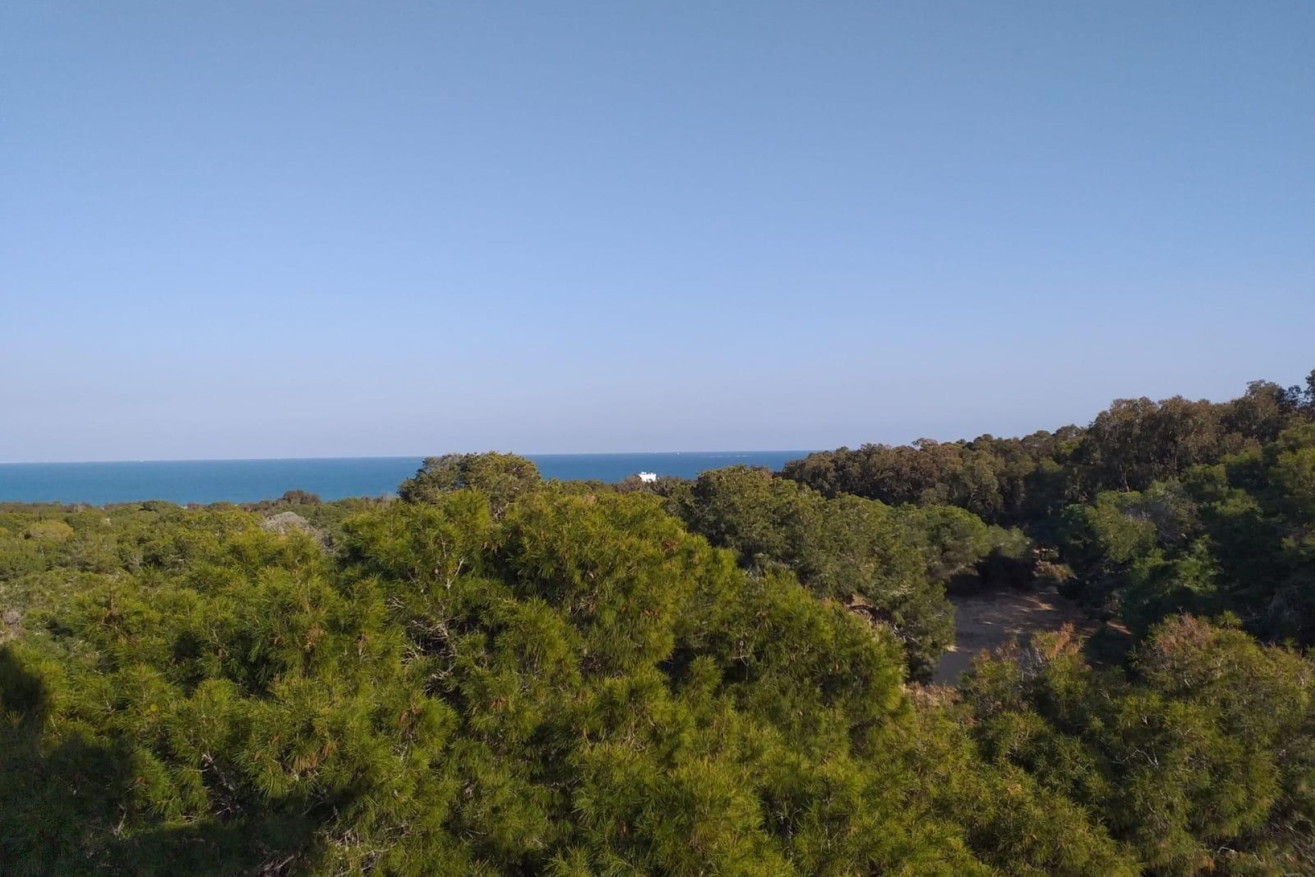 Nowy budynek - Ground floor apartment -
