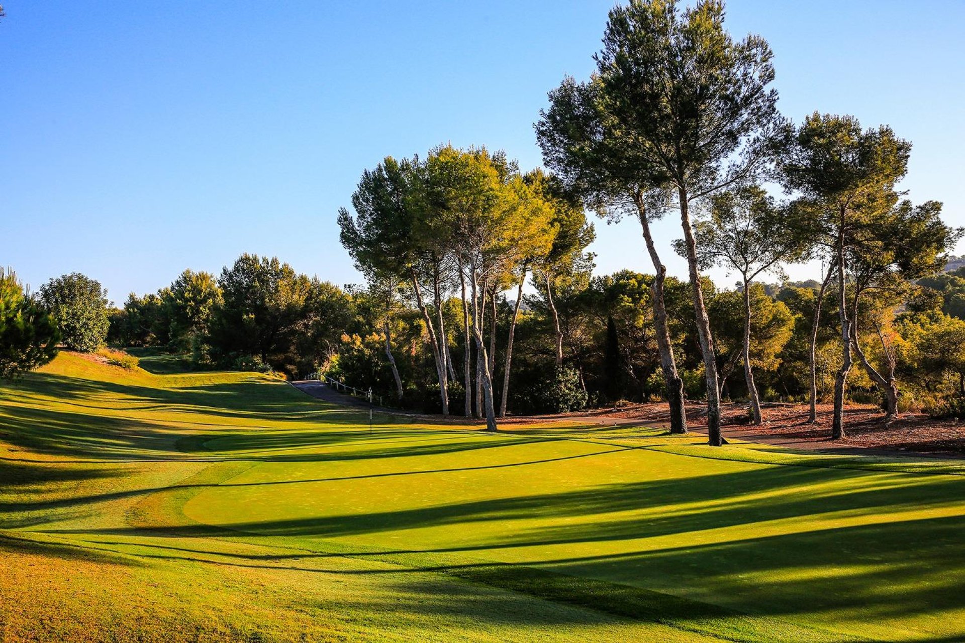 Nowy budynek - villa -
Orihuela - Las Colinas Golf