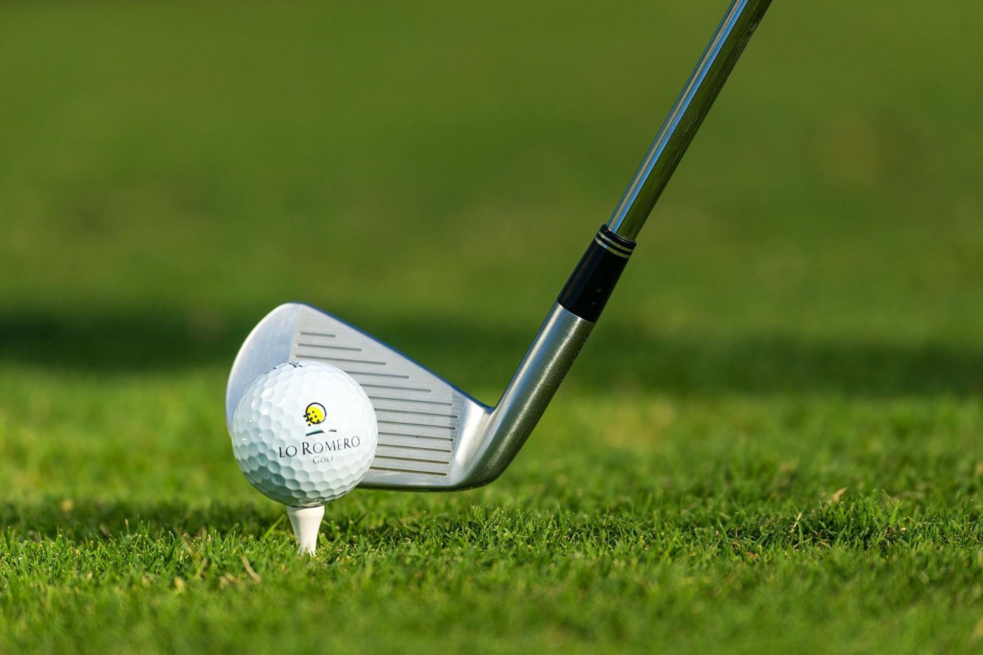 Nowy budynek - villa -
Pilar de la Horadada - Lo Romero Golf