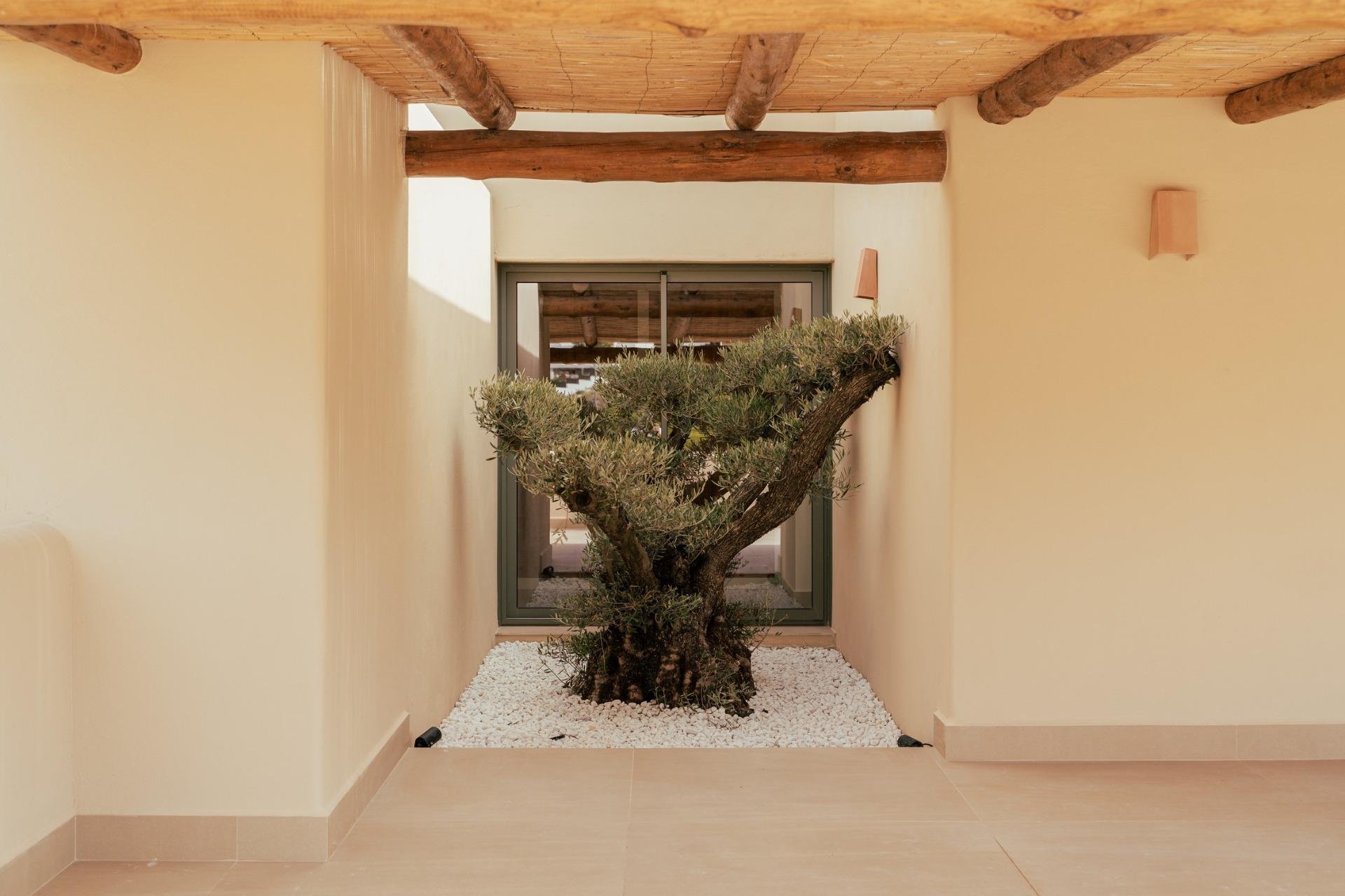 Nowy budynek - villa -
