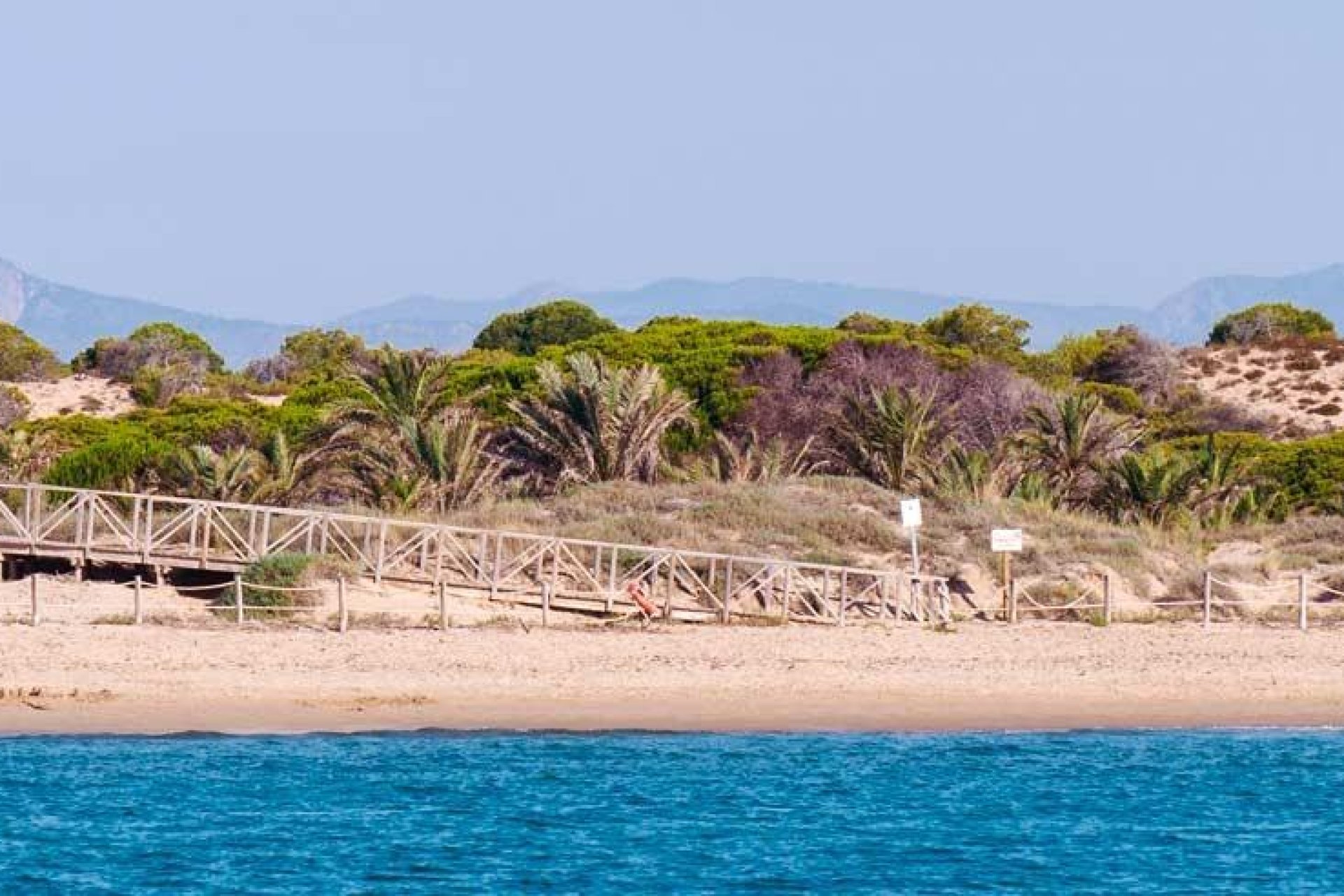 Obra nueva - apartment -
