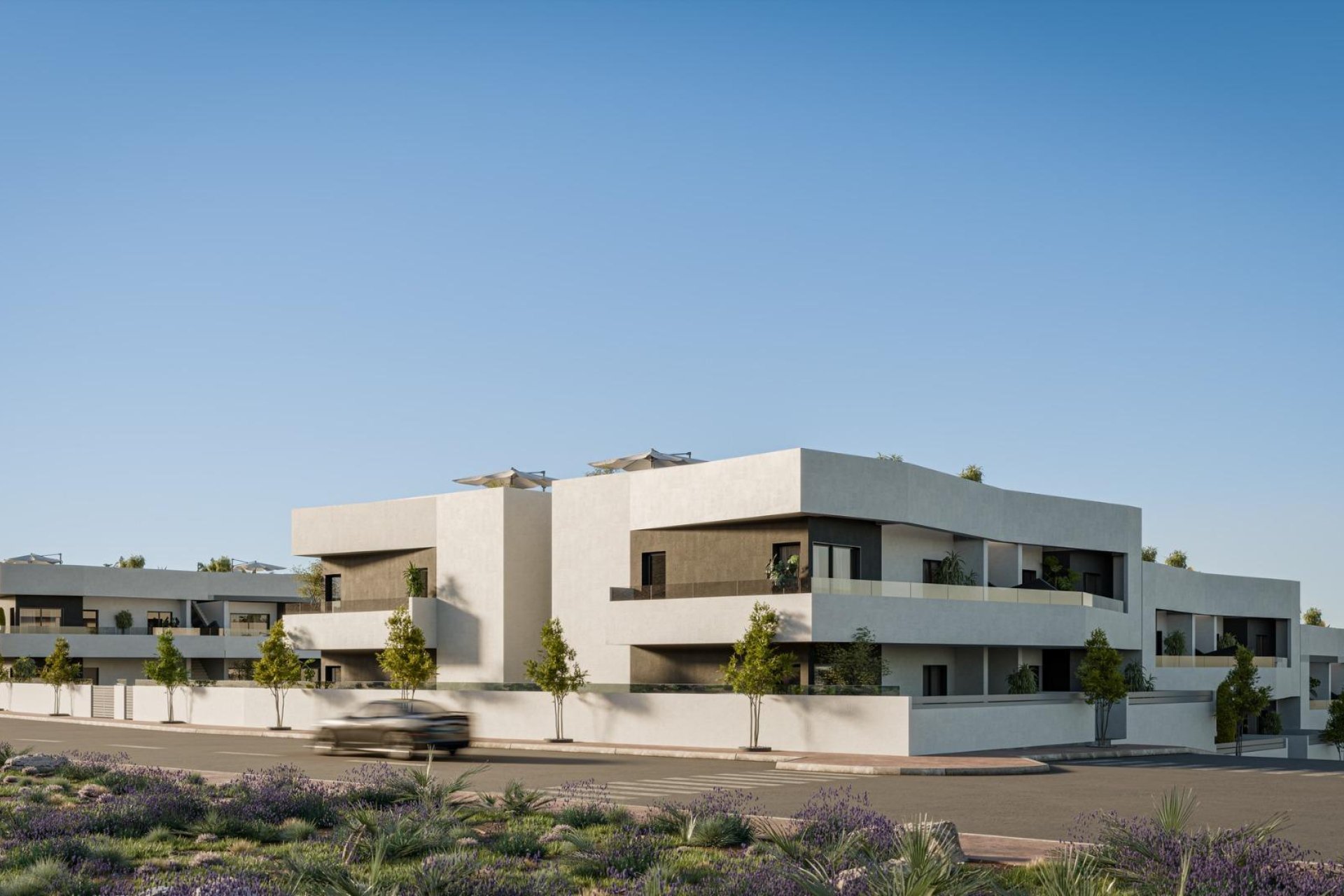 Obra nueva - Bungalow -
San Miguel de Salinas - Pueblo