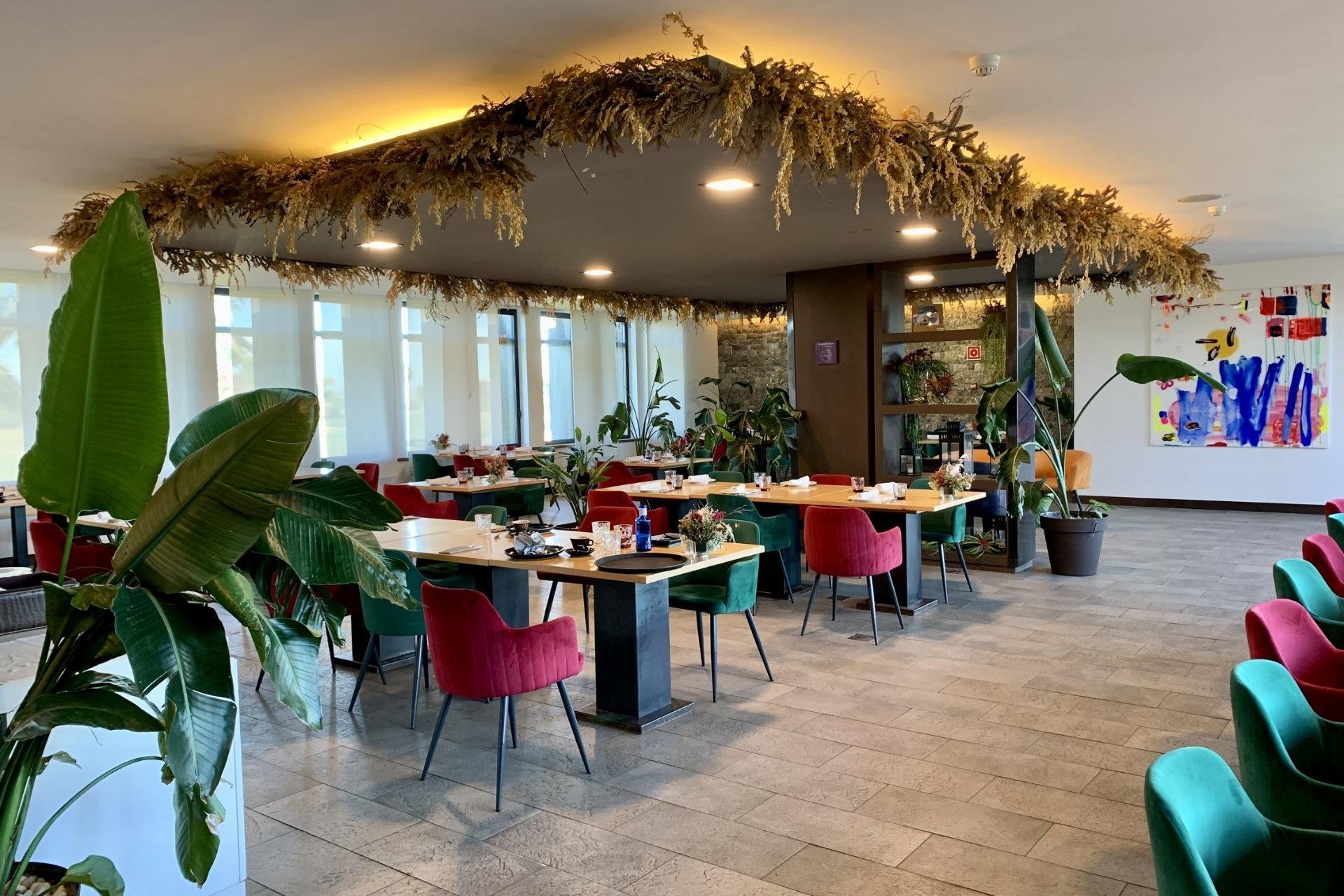 Obra nueva - Bungalow -
