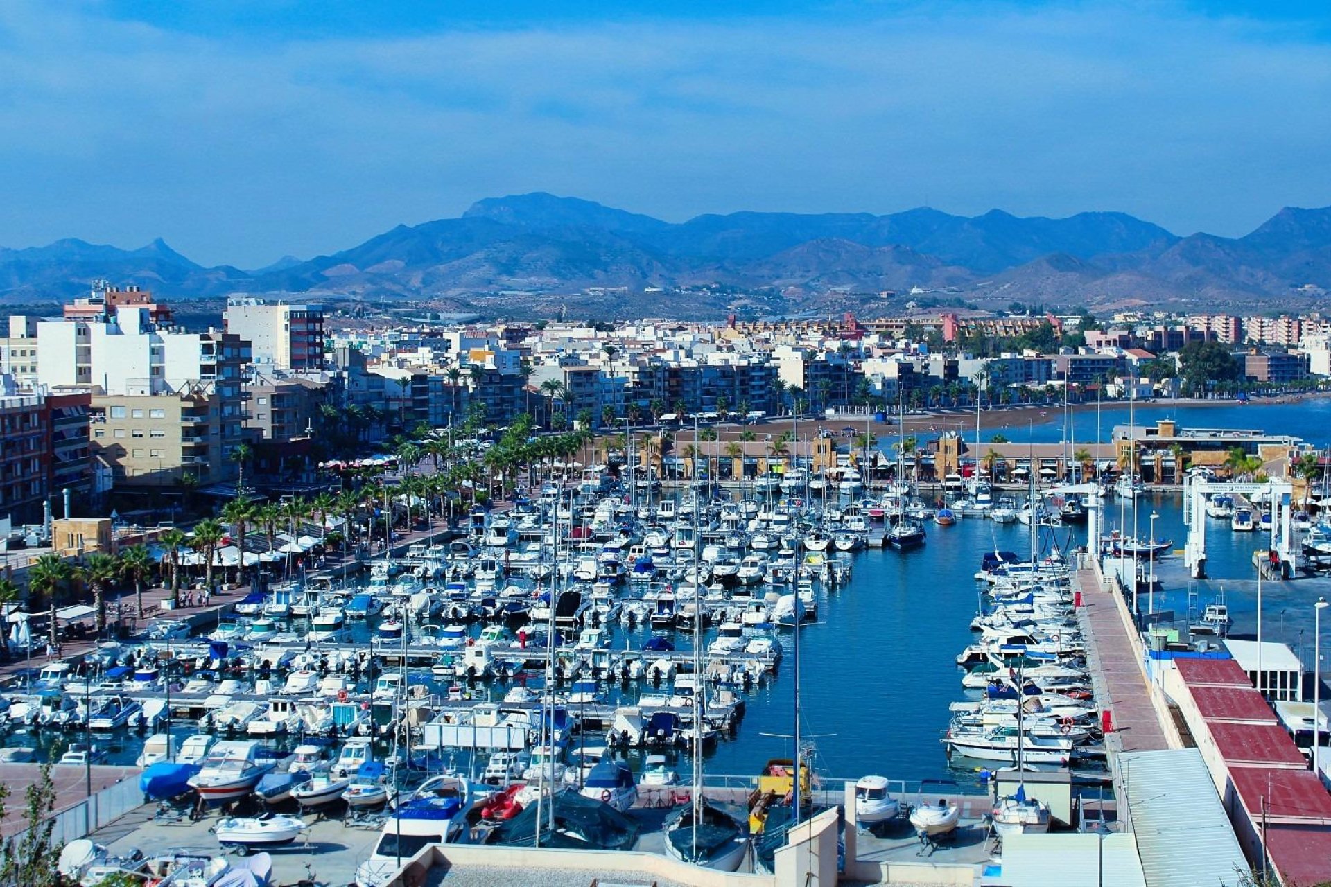 Obra nueva - Bungalow -
