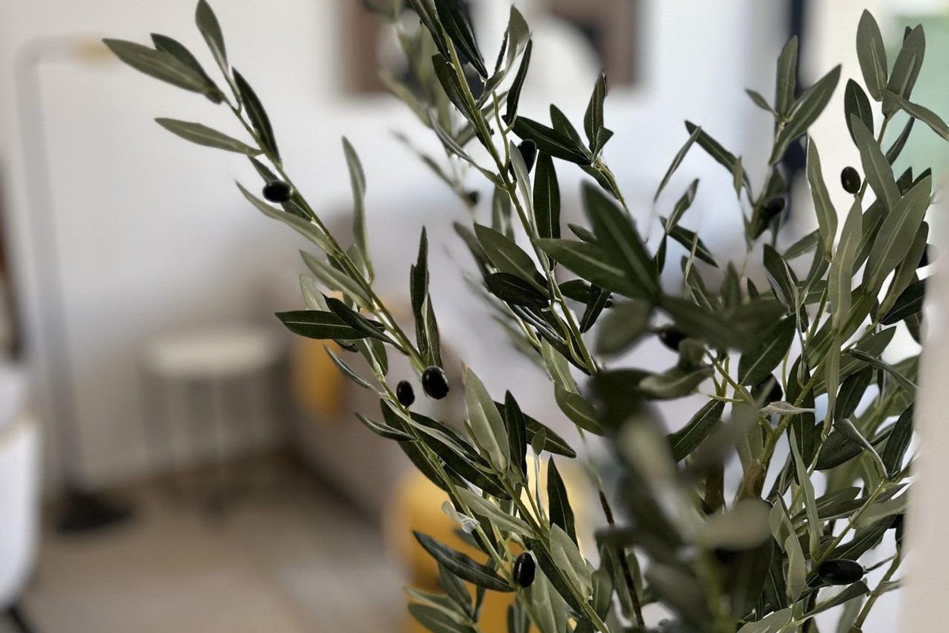 Obra nueva - Bungalow -
