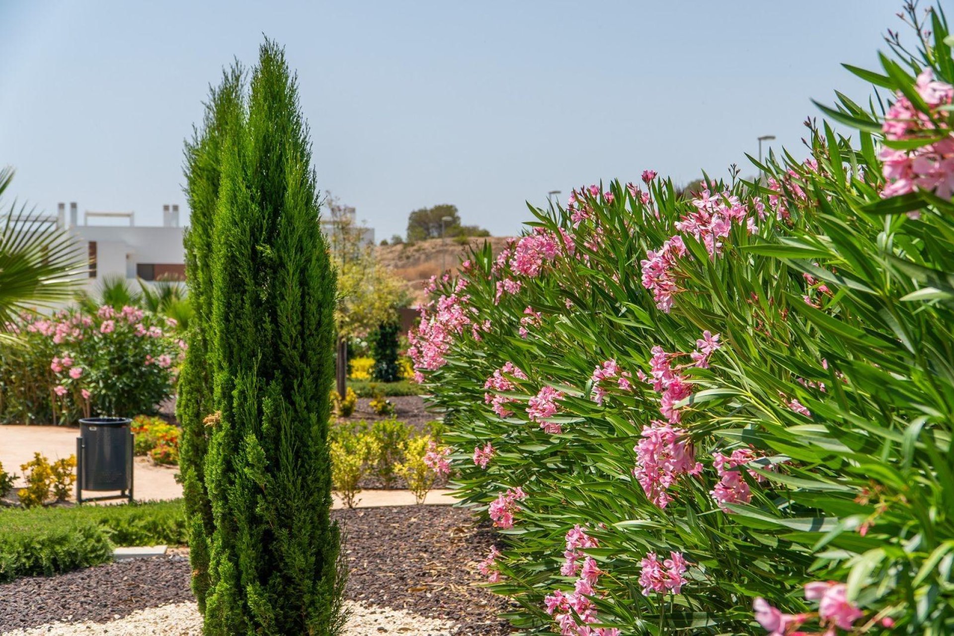 Obra nueva - Ground Floor Bungalow -
