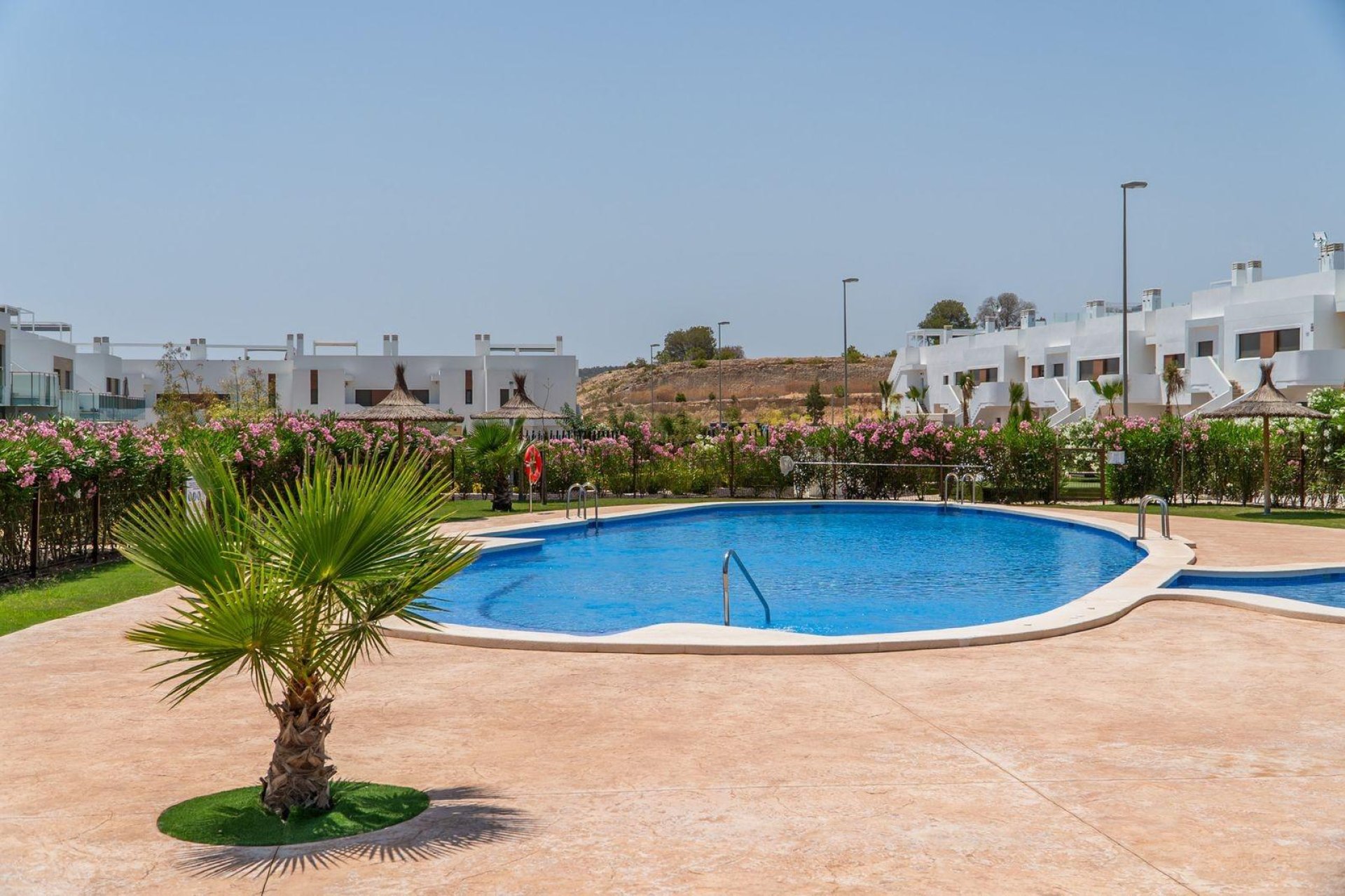 Obra nueva - town house -
Orihuela - Vistabella Golf