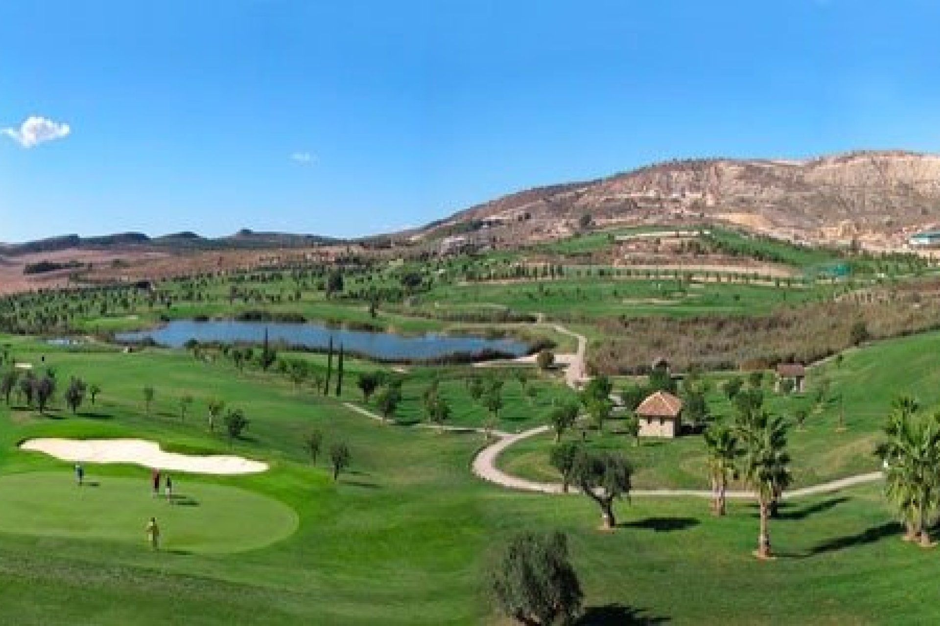 Obra nueva - villa -
Algorfa - La Finca Golf