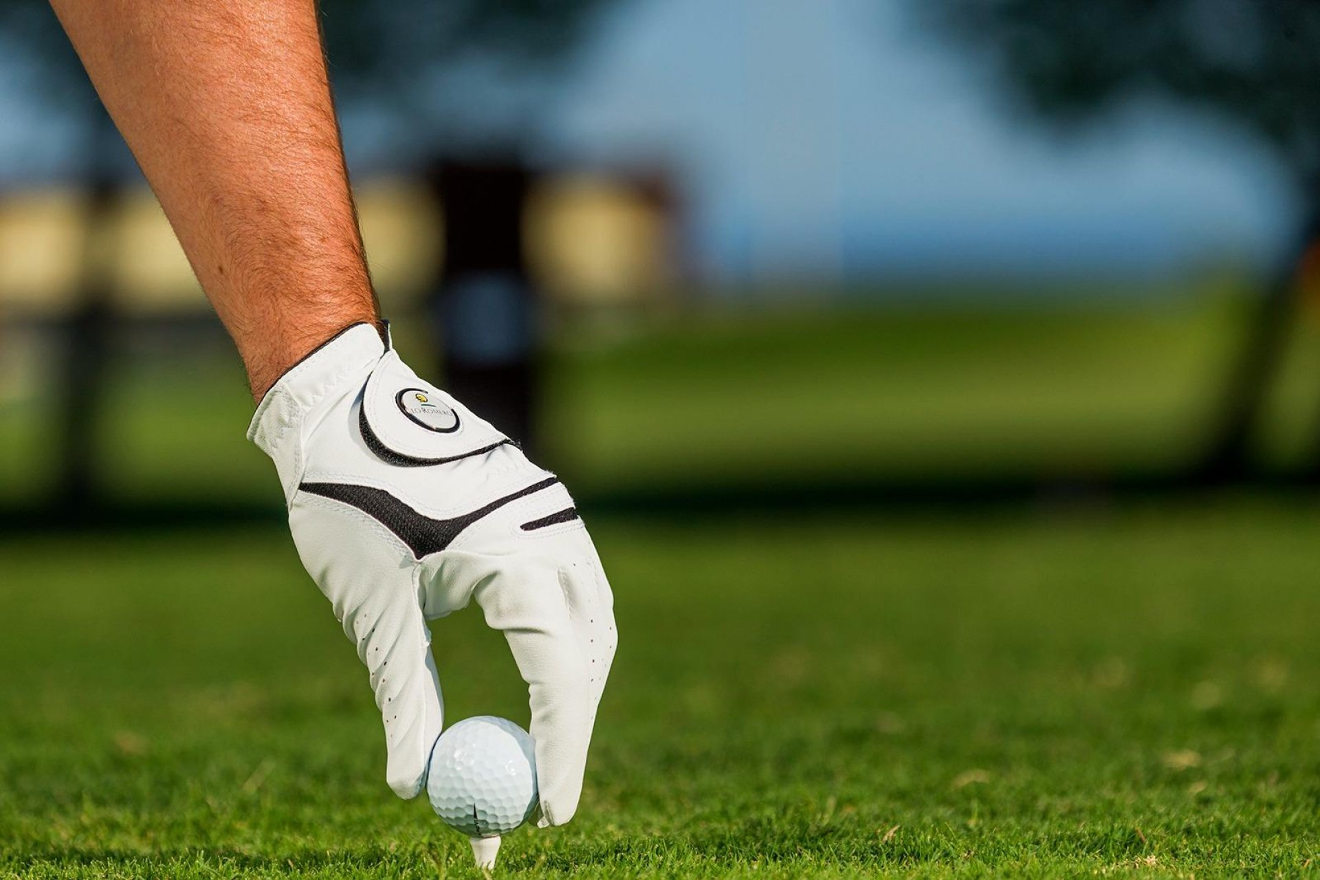 Obra nueva - villa -
Pilar de la Horadada - Lo Romero Golf