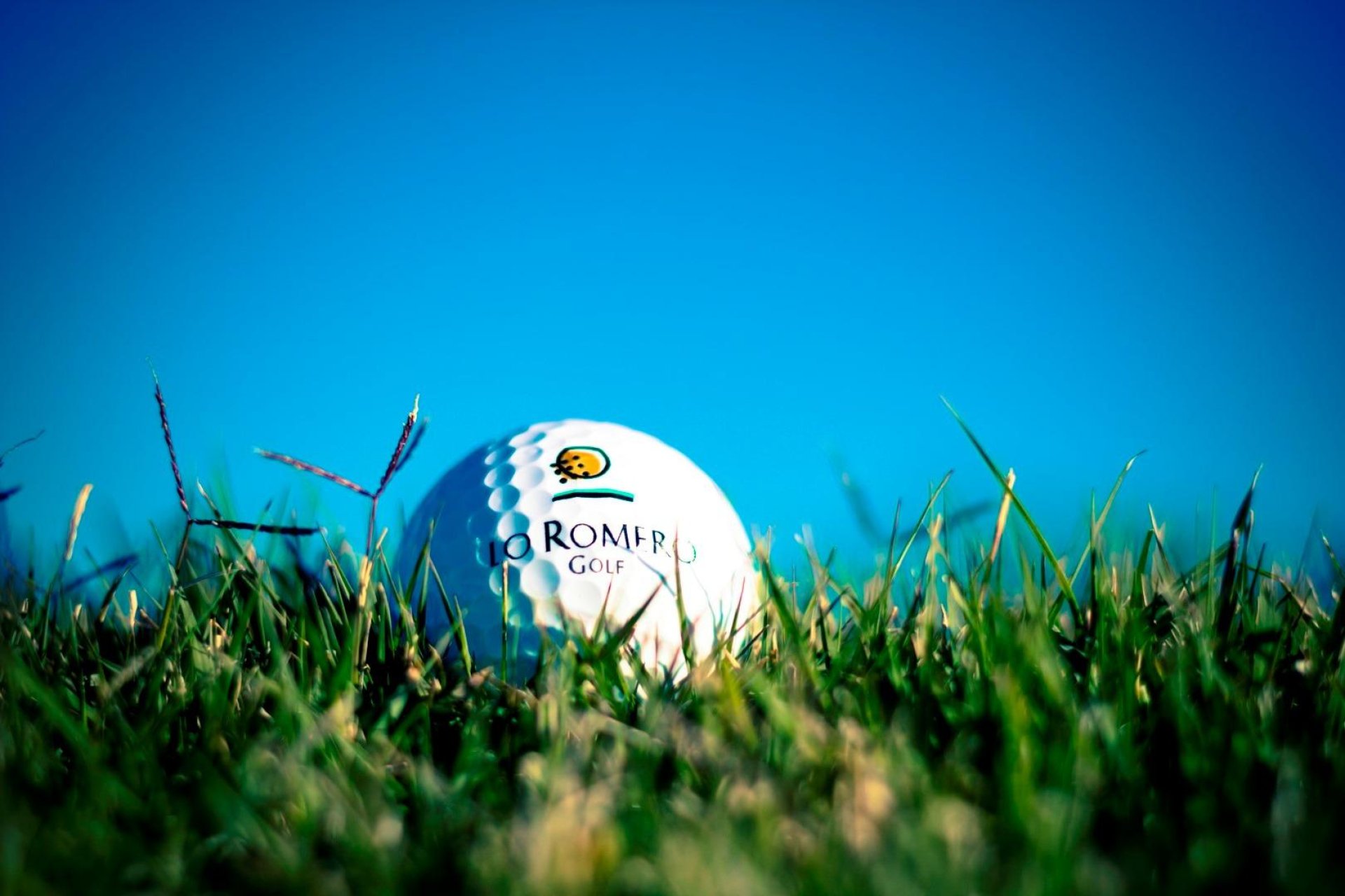 Obra nueva - villa -
Pilar de la Horadada - Lo Romero Golf