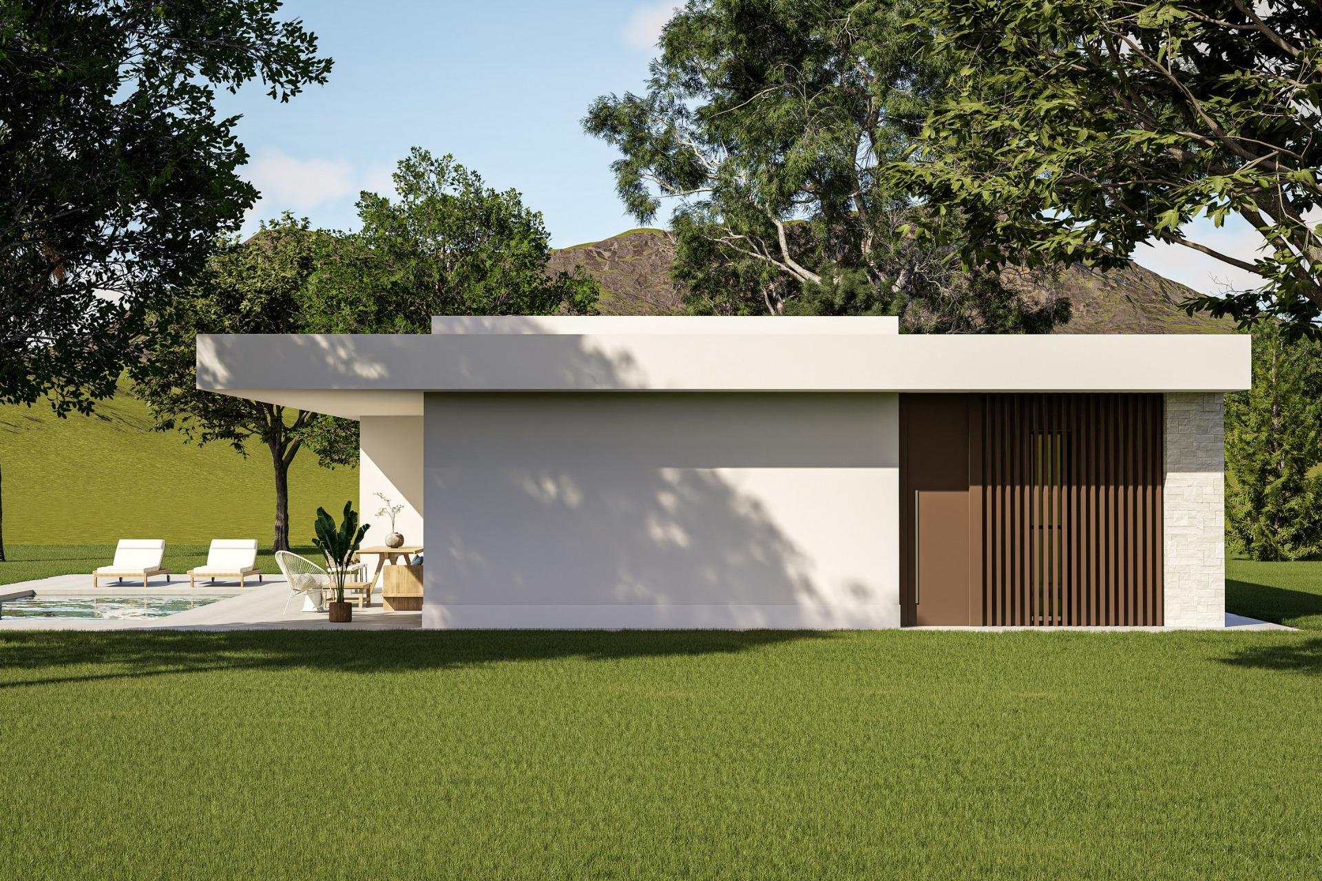 Obra nueva - villa -
Pinoso - Lel