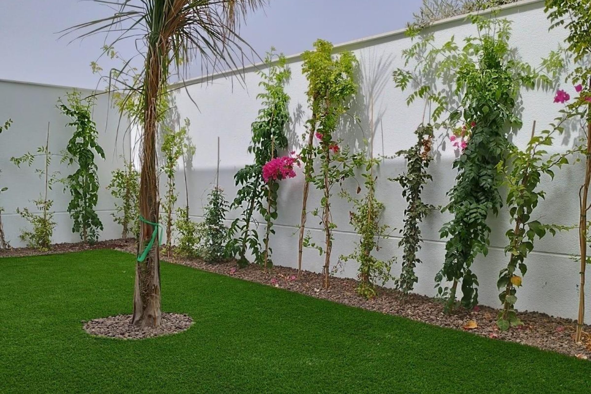 Obra nueva - villa -
San Javier - Parque del doce