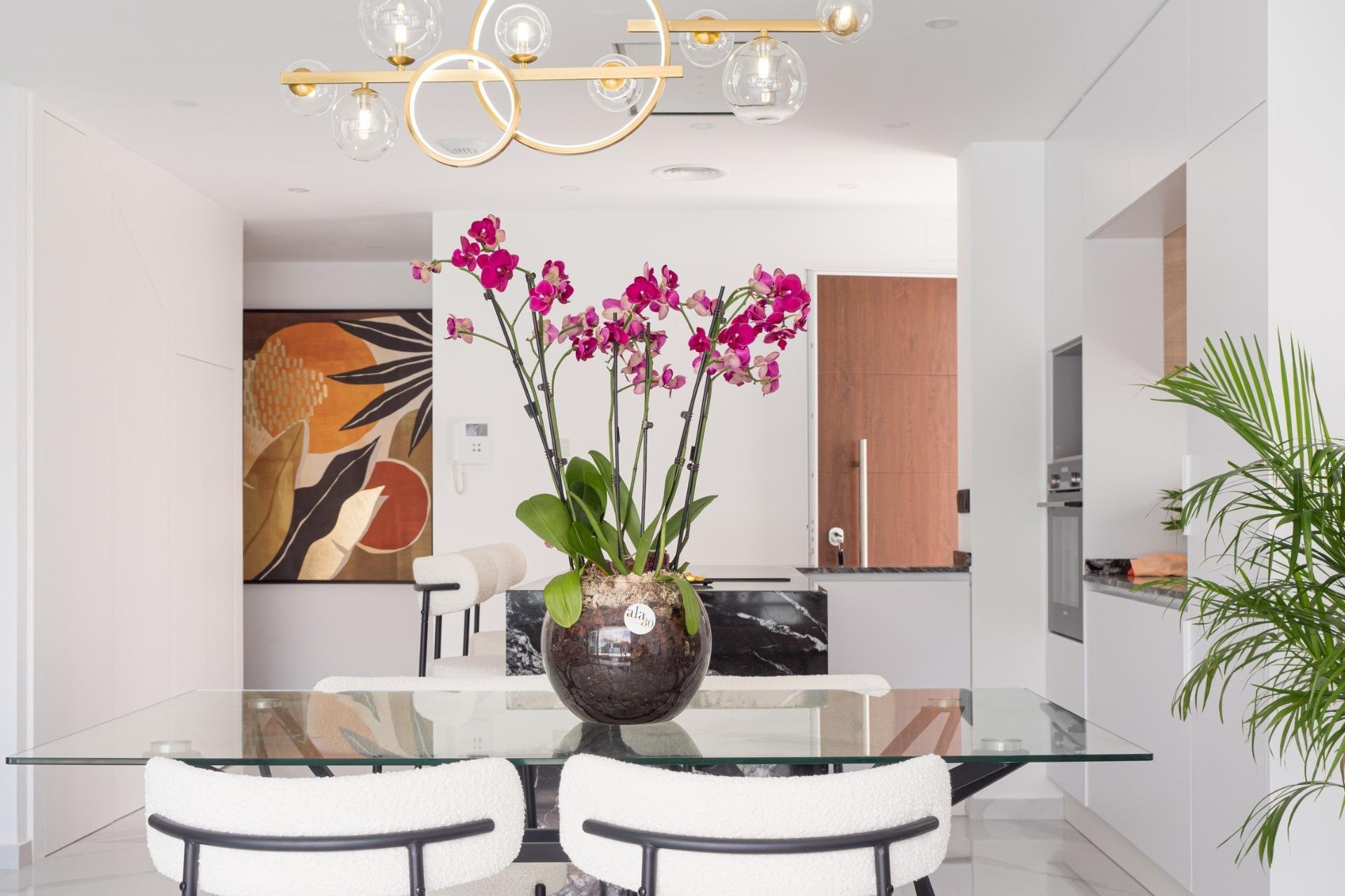 Obra nueva - villa -
San Pedro del Pinatar - San Pedro Del Pinatar