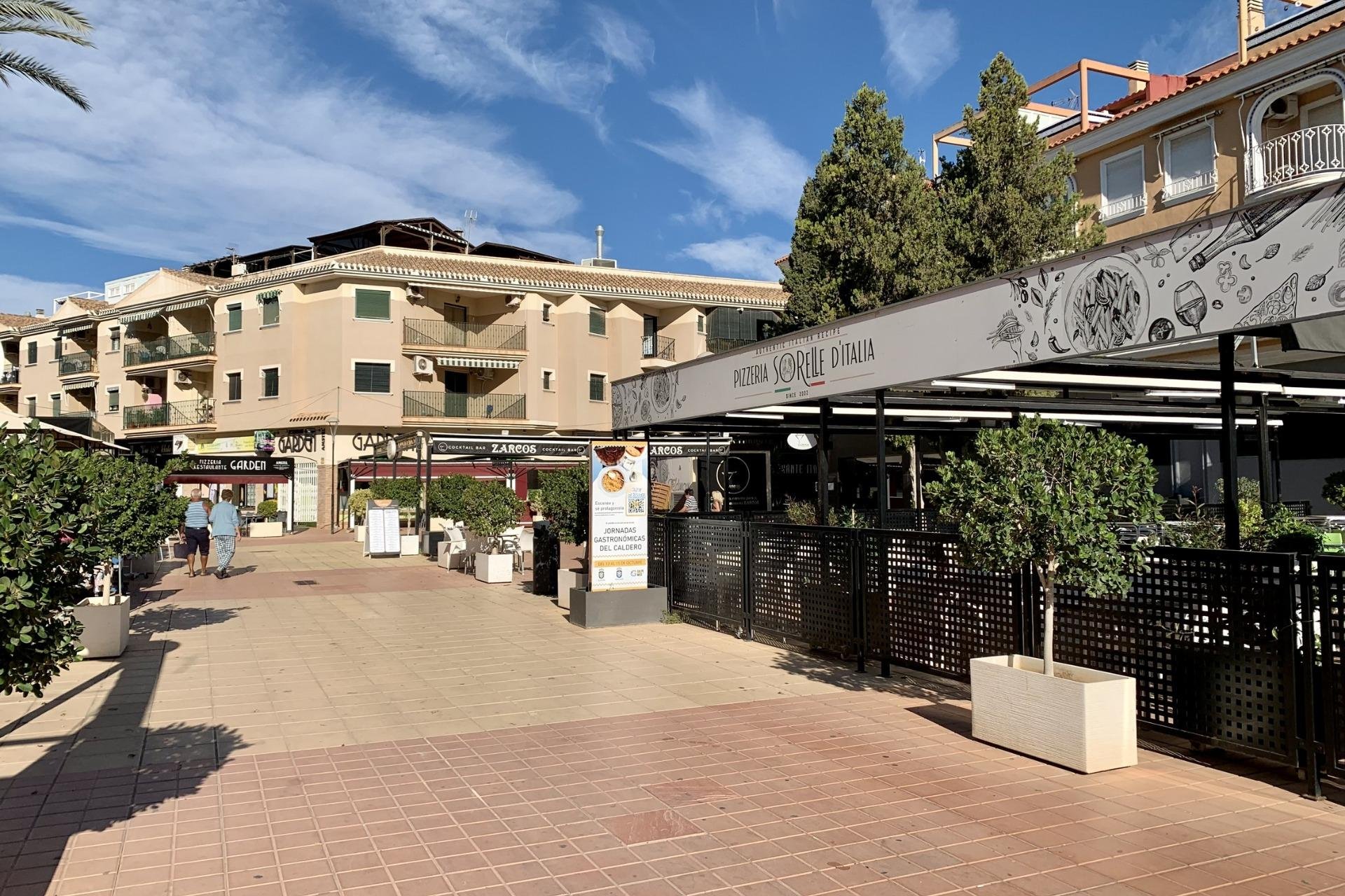 Obra nueva - villa -
