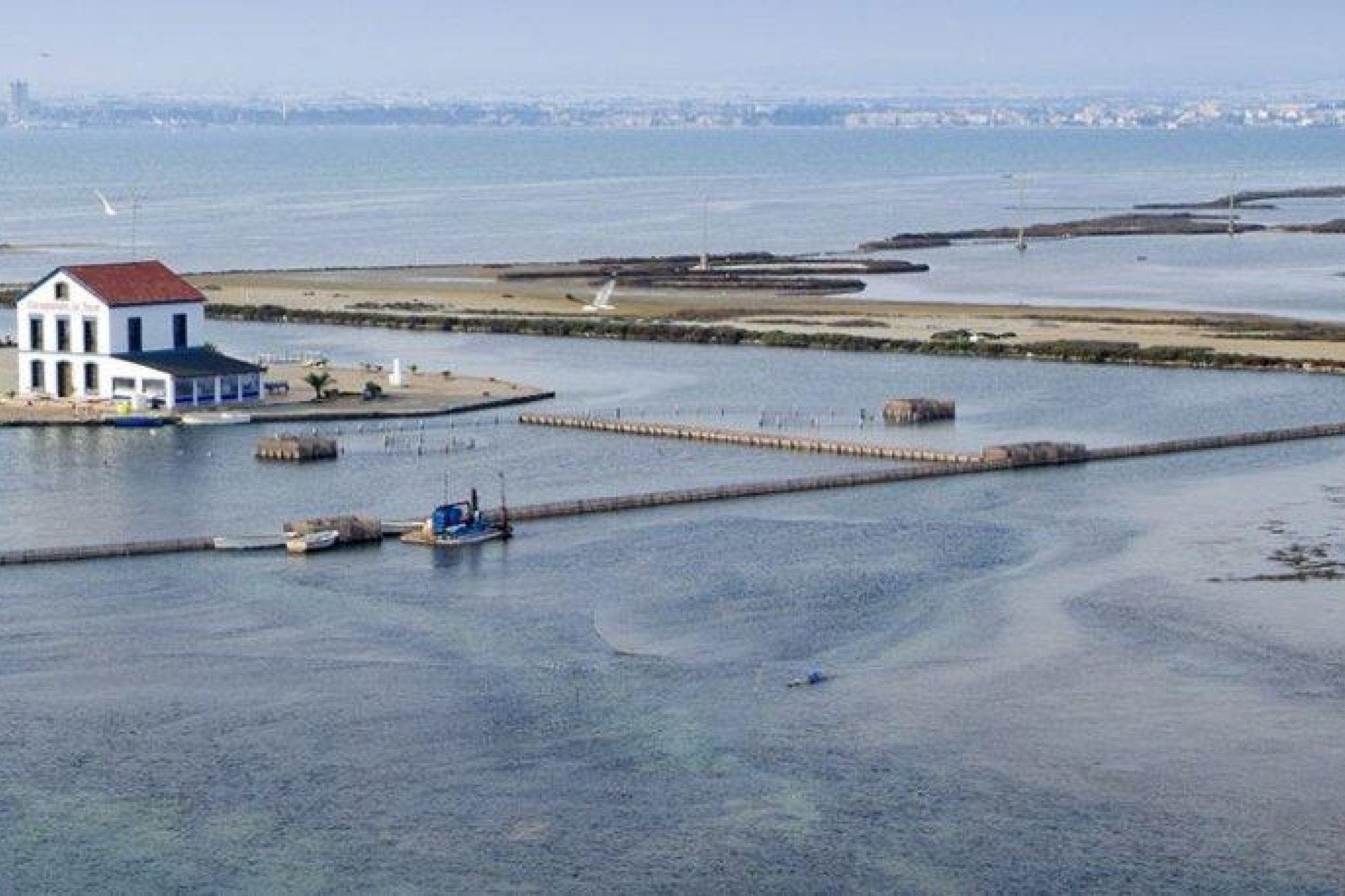 Obra nueva - villa -
